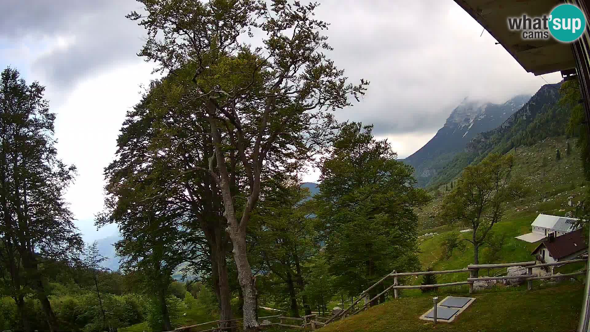 Baita di montagna Planina Razor webcam (1315) | vista su Tolminski Migovec