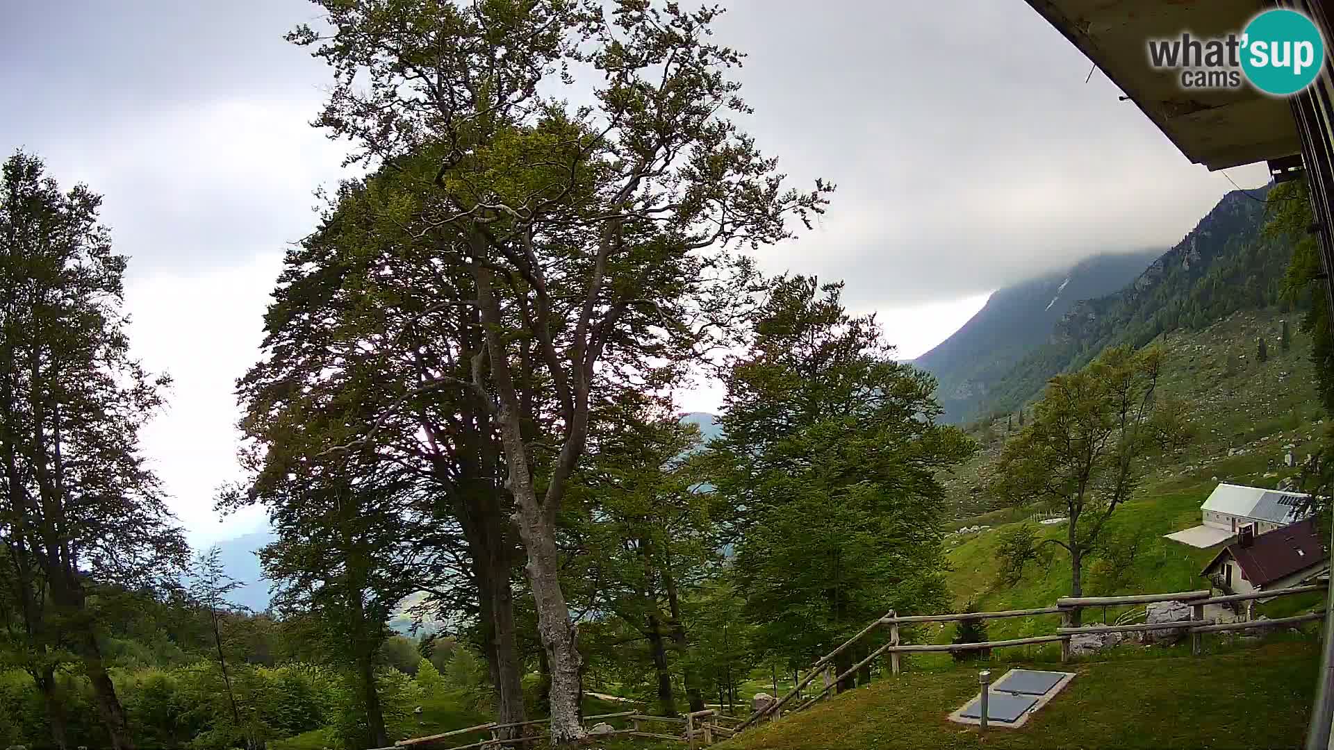 Cámara en vivo de la cabaña de montaña Planina Razor (1315) | vista hacia Tolminski Migovec