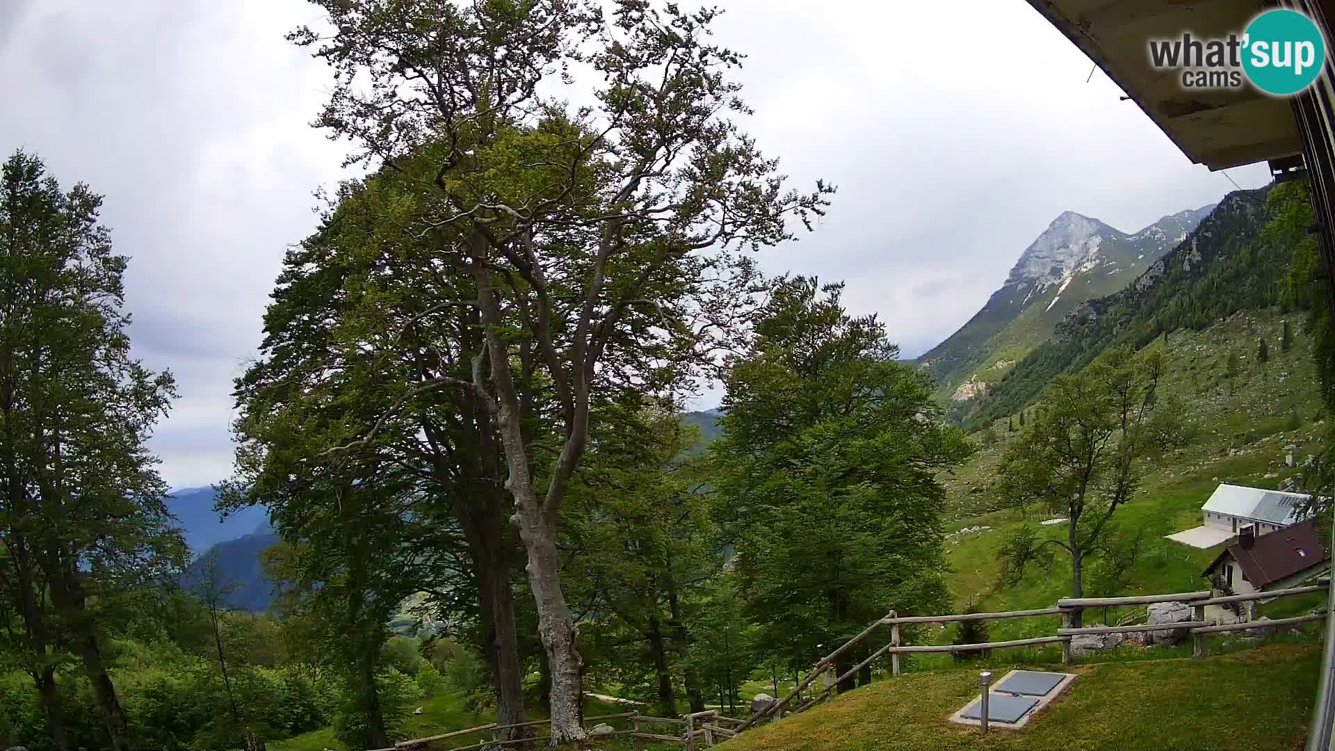 Baita di montagna Planina Razor webcam (1315) | vista su Tolminski Migovec
