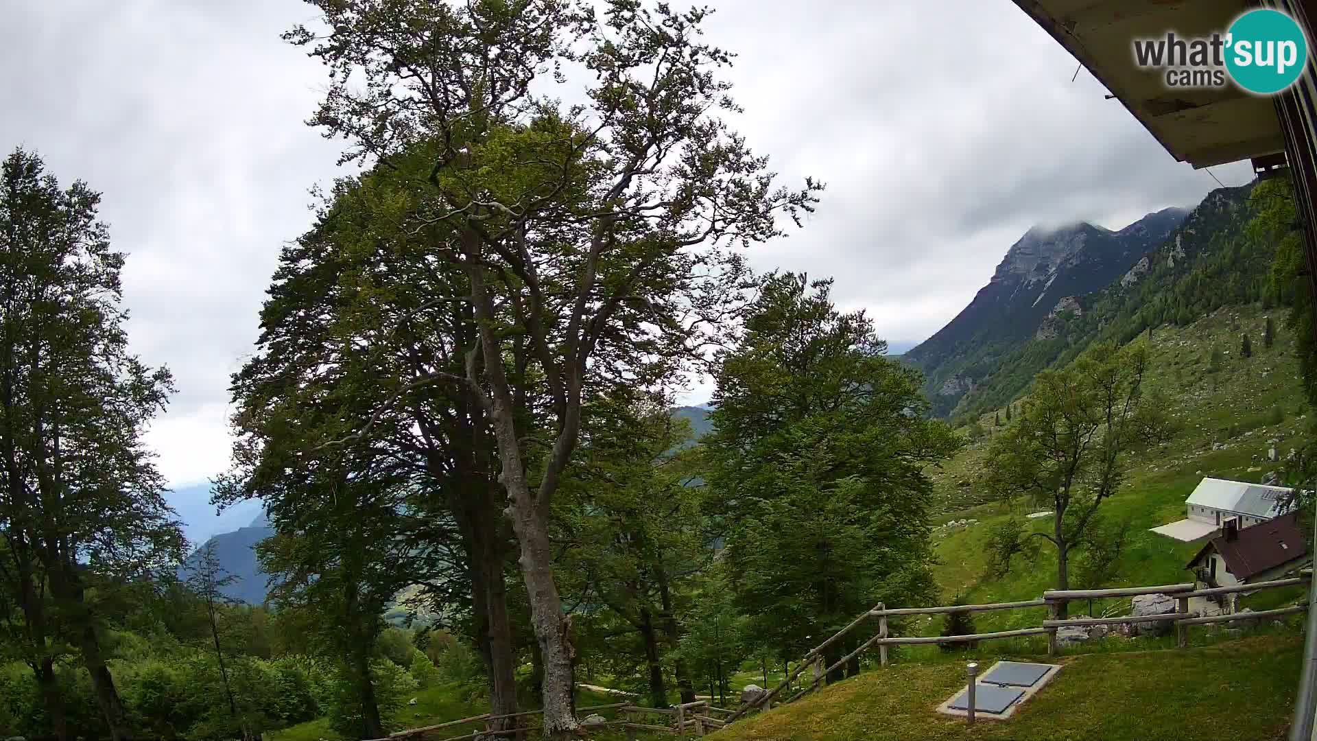 Planina Razor Bergütte Webcam (1315) | Blick auf Tolminski Migovec