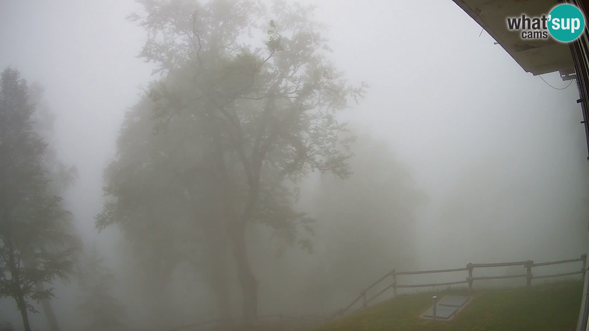 Refuge de la montagne Planina Razor caméra en direct (1315) | vue sur Tolminski Migovec