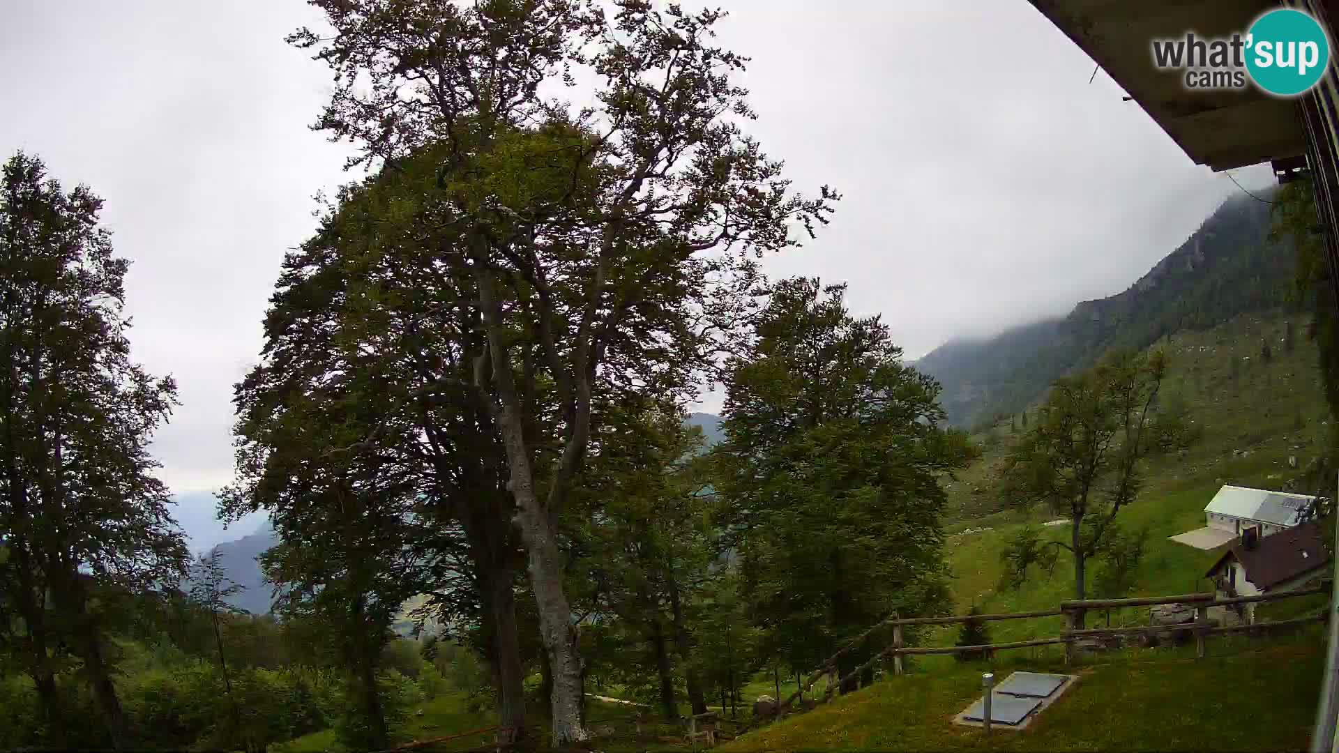 Koča na Planini Razor spletna kamera (1315) | Pogled na Tolminski Migovec