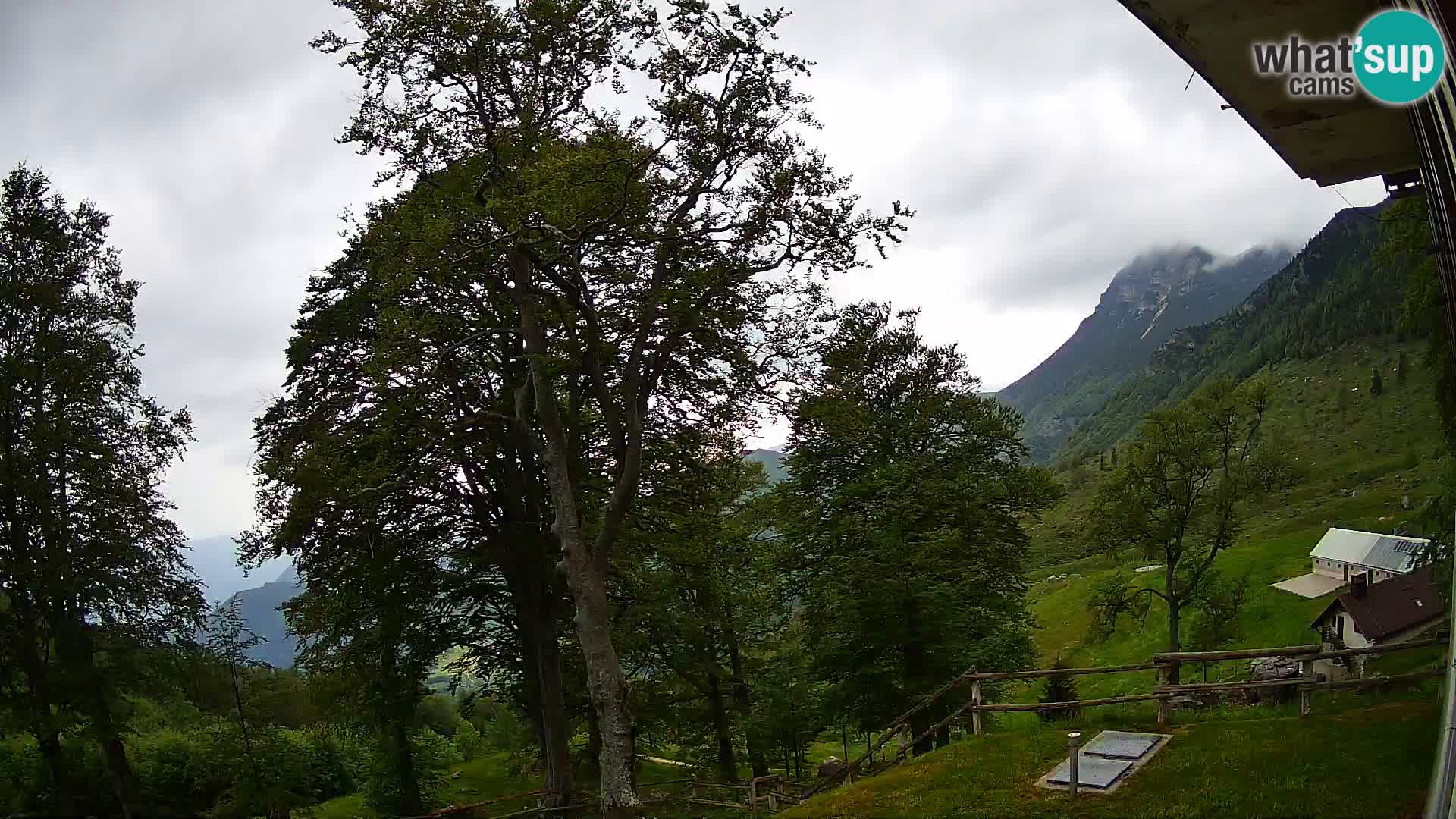 Planina Razor Bergütte Webcam (1315) | Blick auf Tolminski Migovec