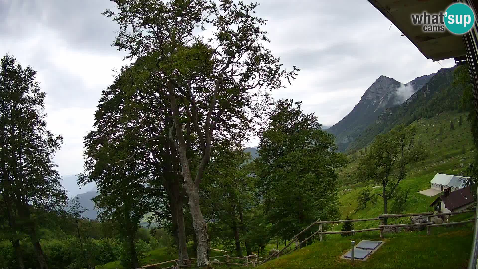 Planina Razor Mountain Hut live cam (1315) | view to Tolminski Migovec