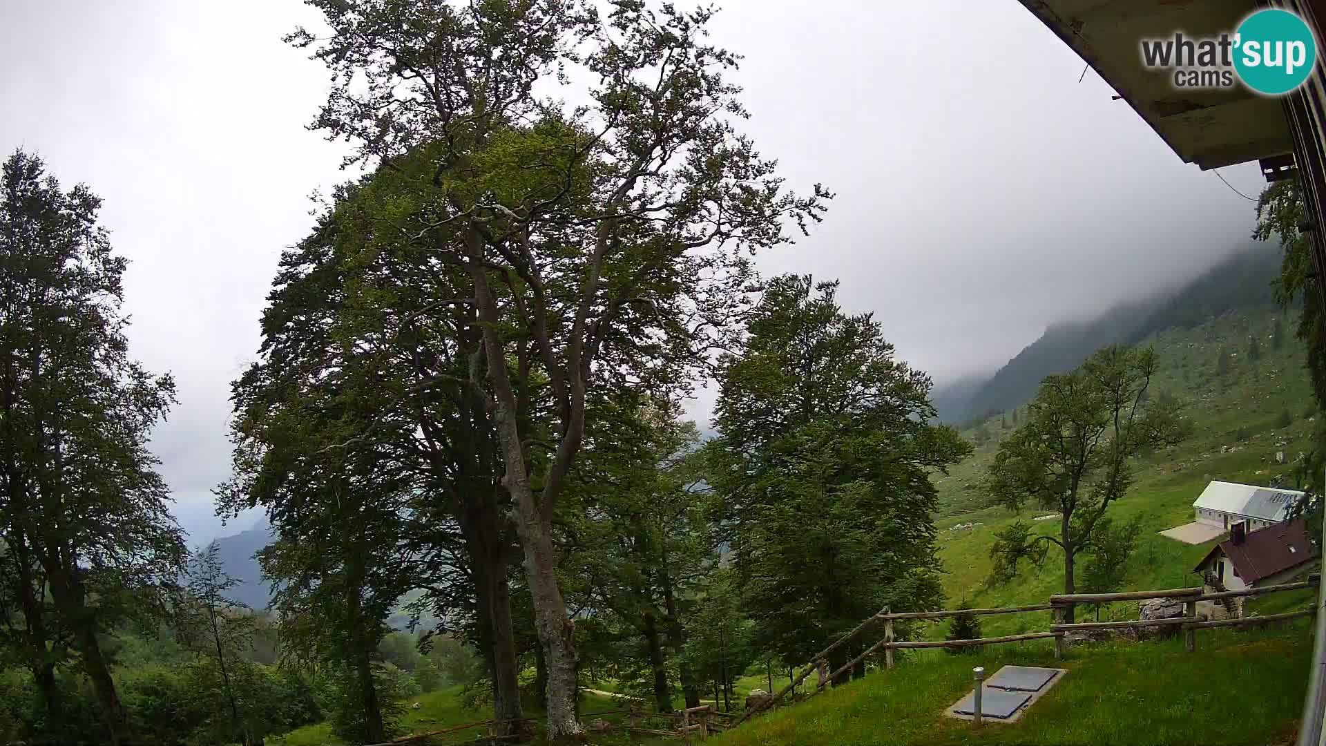 Planina Razor Bergütte Webcam (1315) | Blick auf Tolminski Migovec