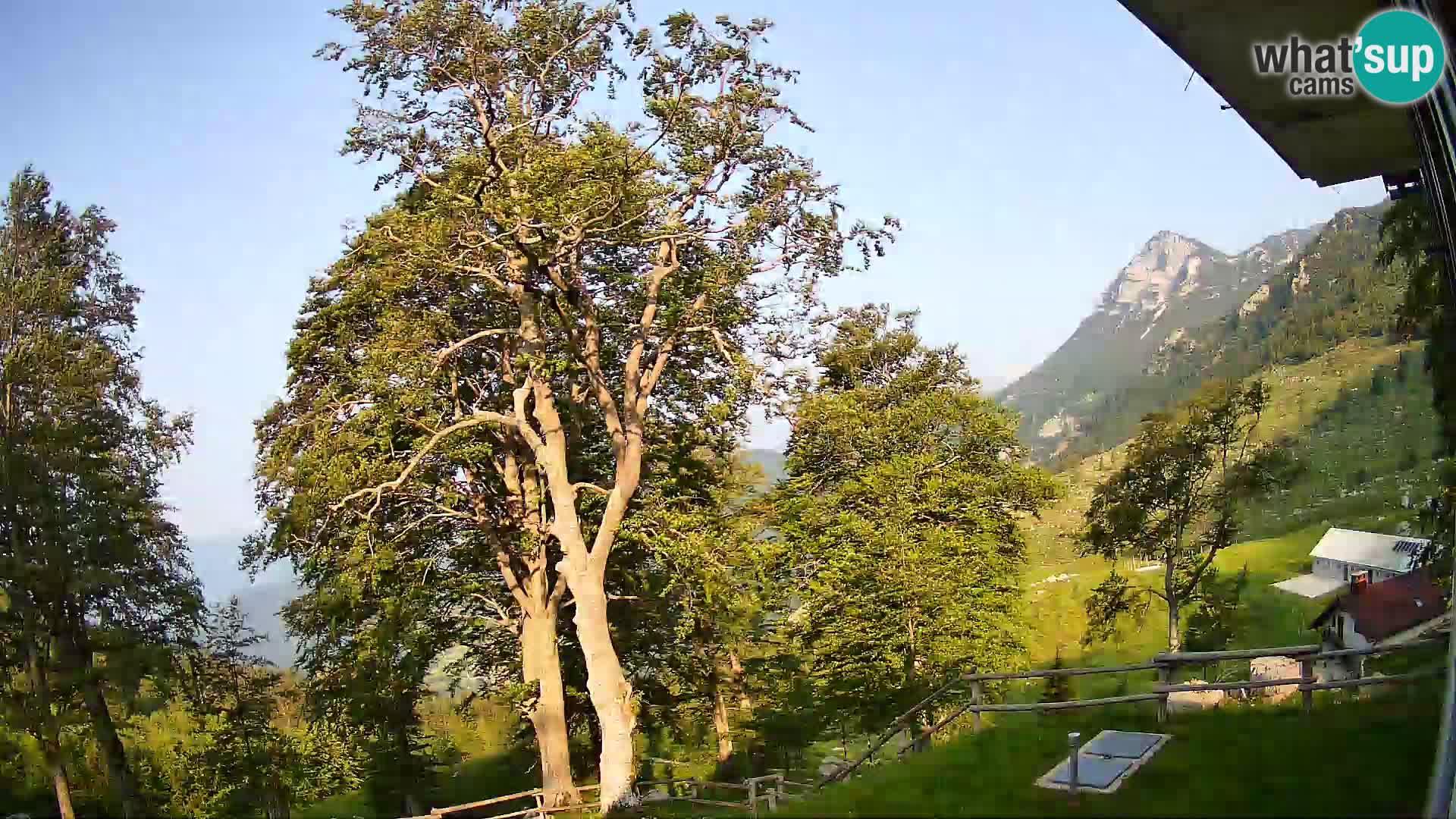 Baita di montagna Planina Razor webcam (1315) | vista su Tolminski Migovec