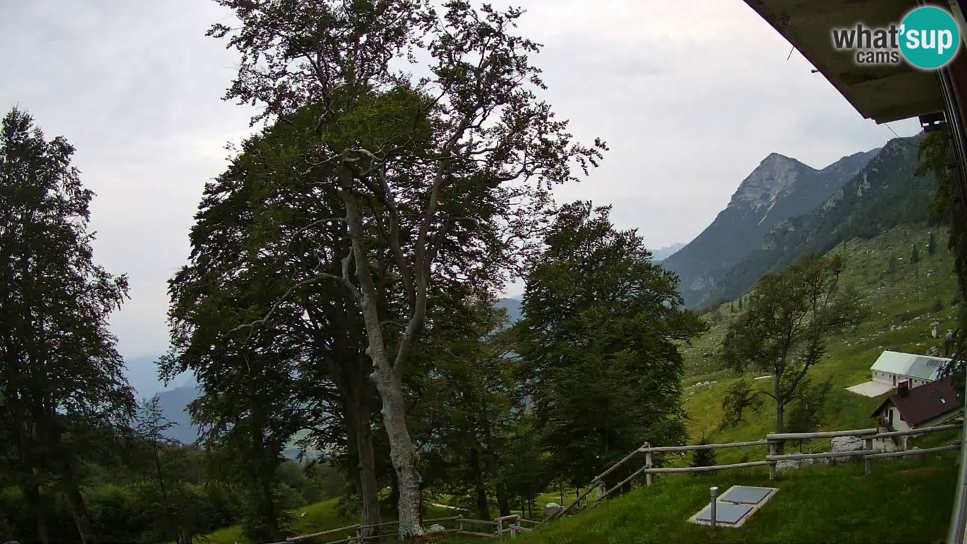 Planina Razor Mountain Hut live cam (1315) | view to Tolminski Migovec