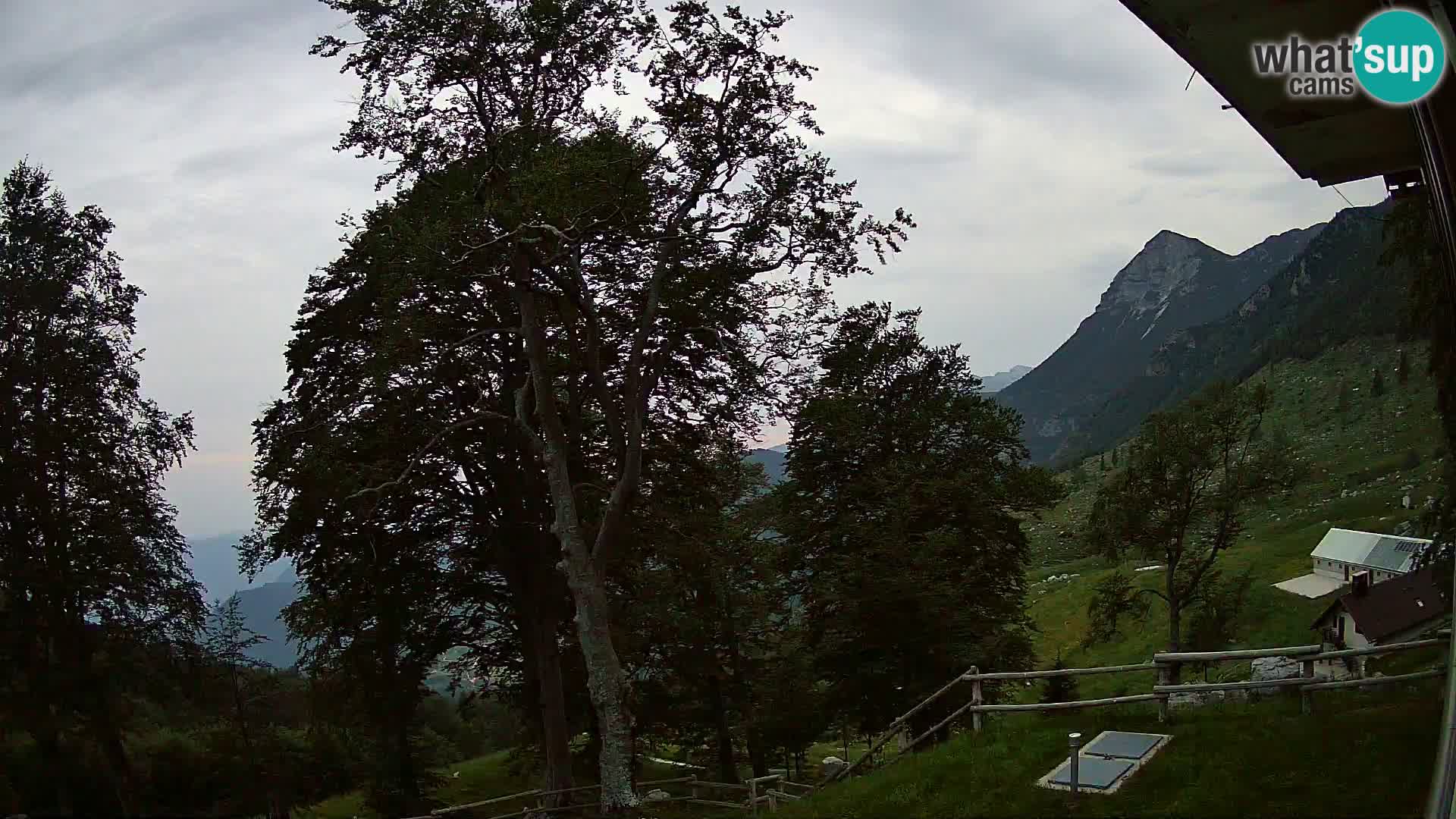Planina Razor Mountain Hut live cam (1315) | view to Tolminski Migovec