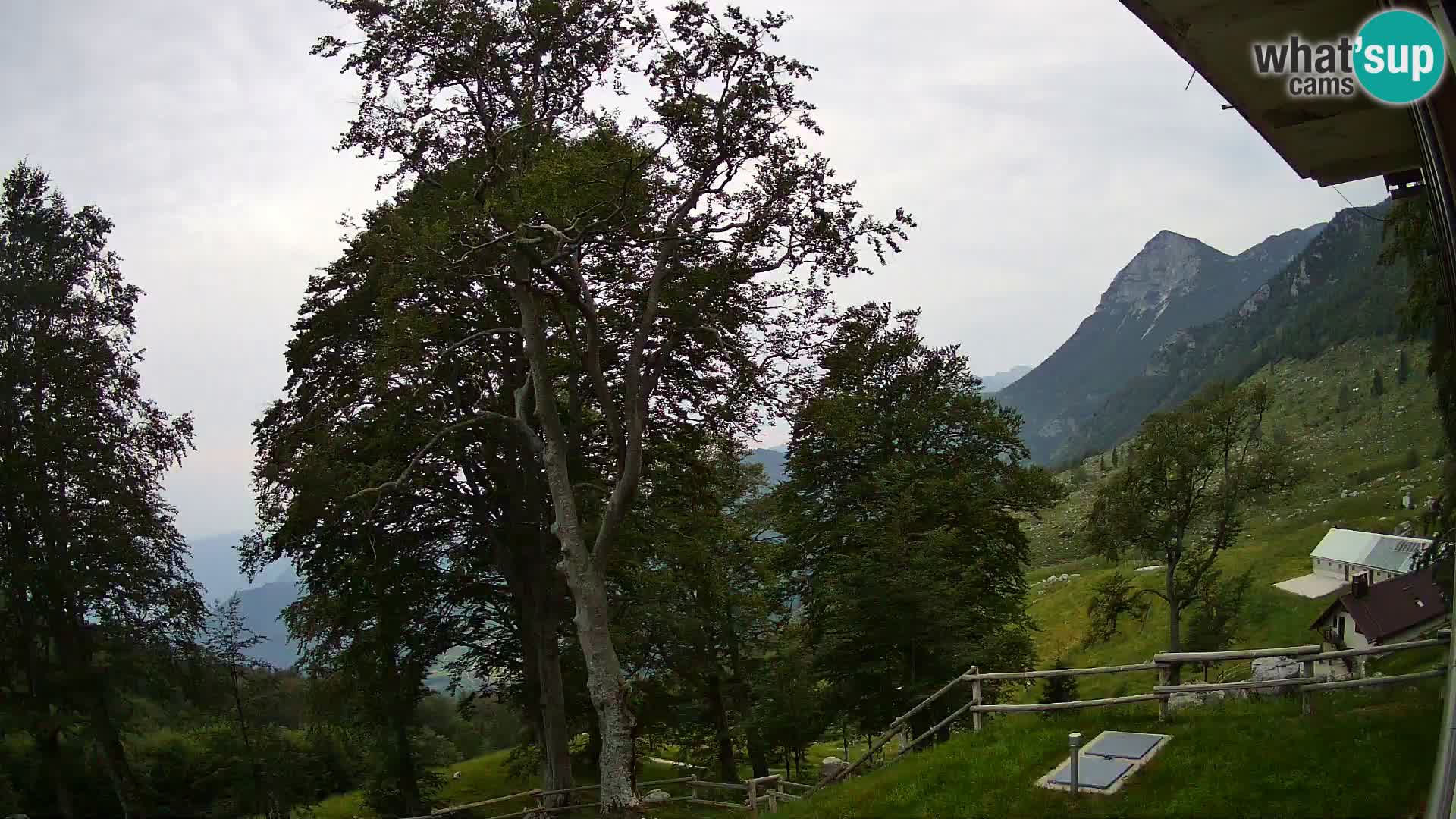 Planina Razor Mountain Hut live cam (1315) | view to Tolminski Migovec