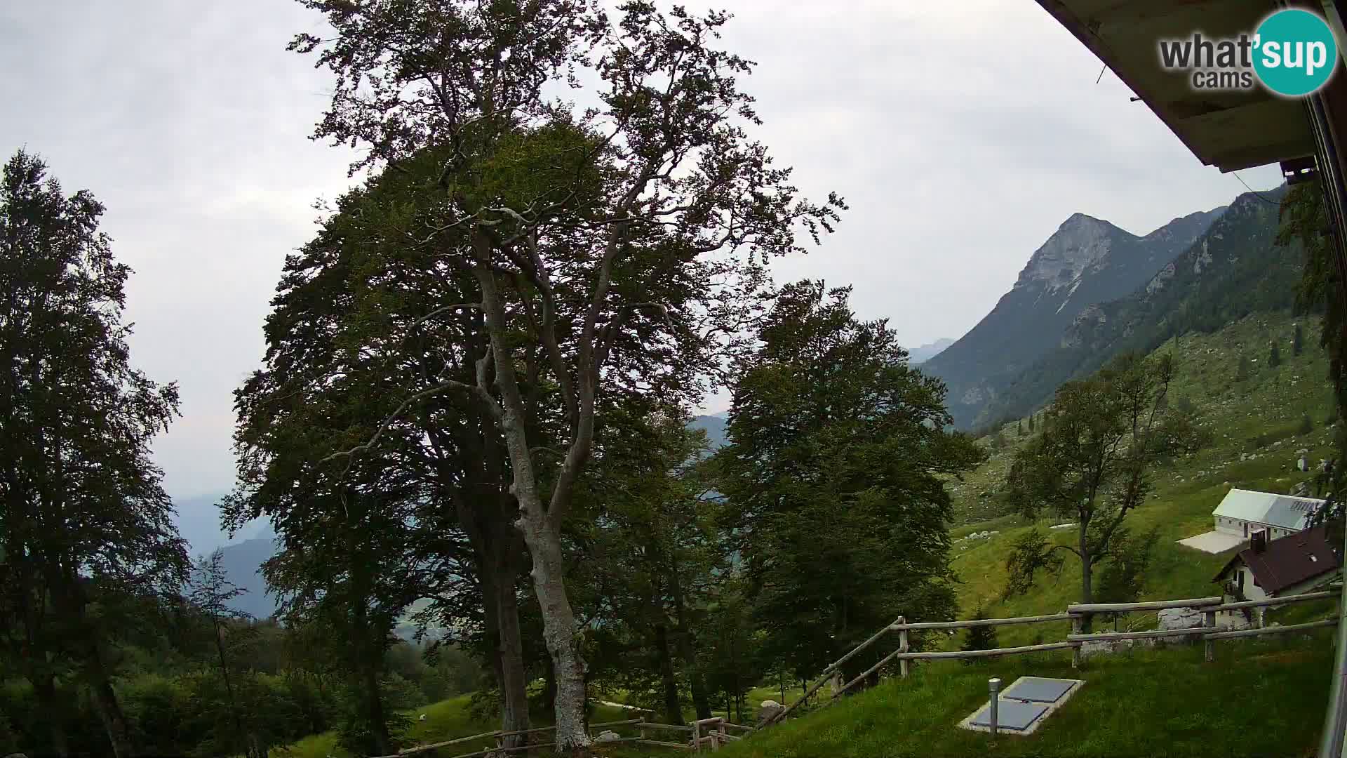 Cámara en vivo de la cabaña de montaña Planina Razor (1315) | vista hacia Tolminski Migovec