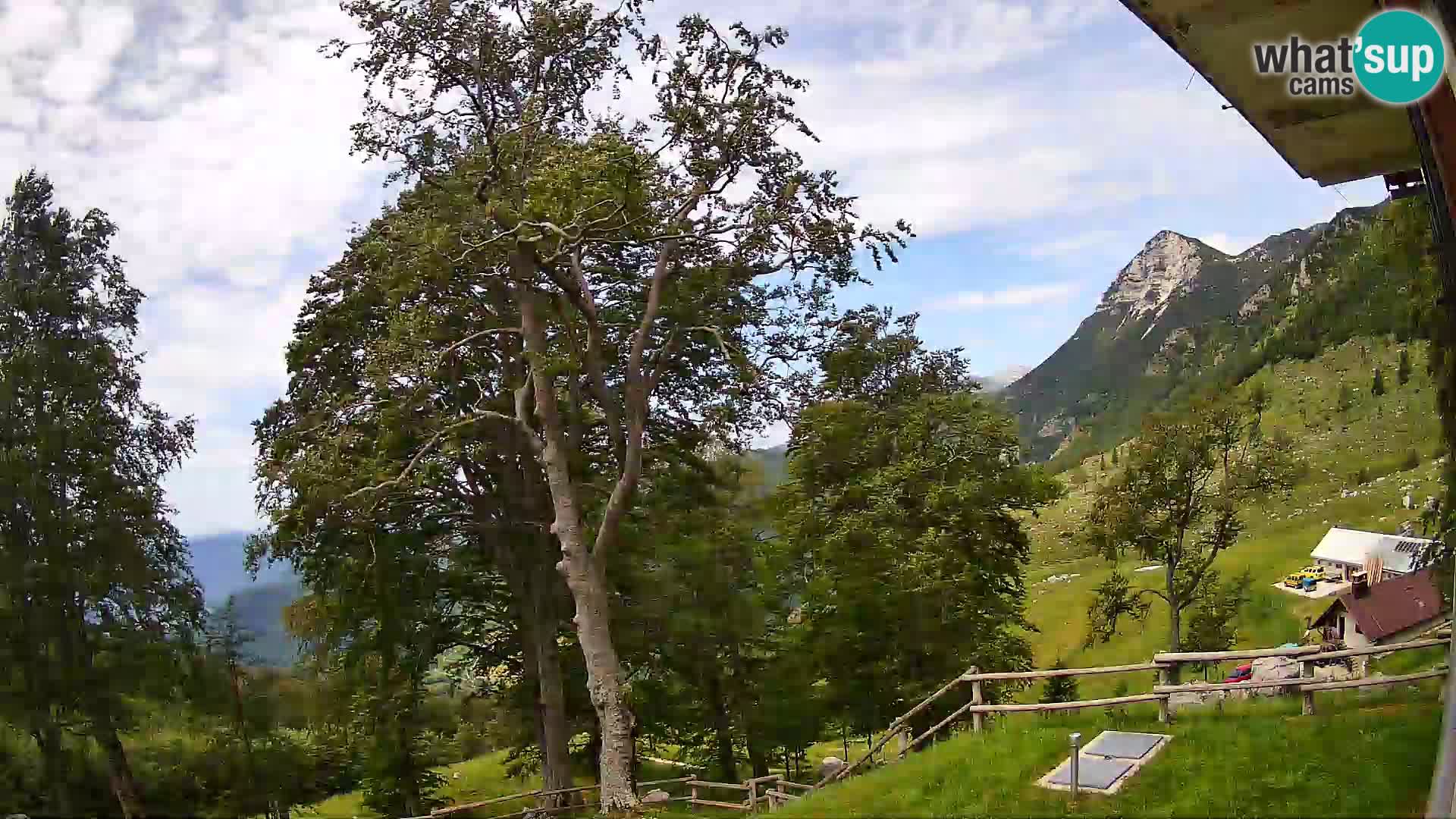 Planina Razor Mountain Hut live cam (1315) | view to Tolminski Migovec