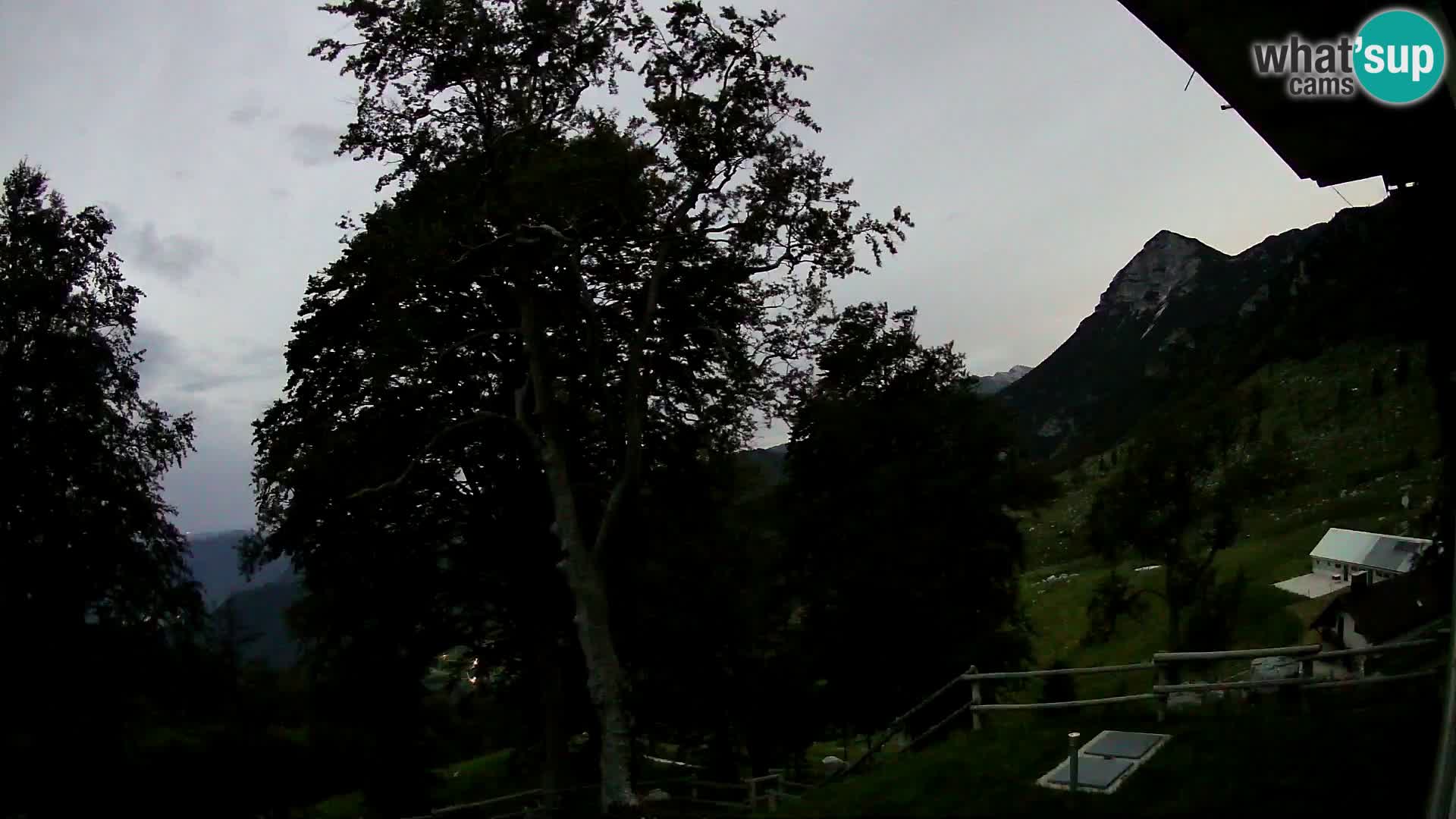 Baita di montagna Planina Razor webcam (1315) | vista su Tolminski Migovec