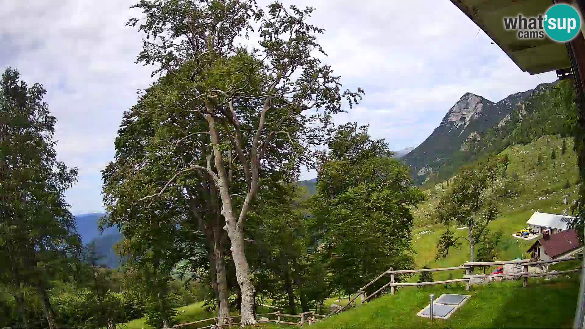 Refuge de la montagne Planina Razor caméra en direct (1315) | vue sur Tolminski Migovec