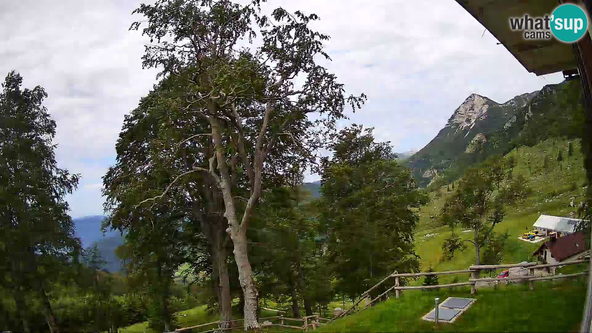 Refuge de la montagne Planina Razor caméra en direct (1315) | vue sur Tolminski Migovec