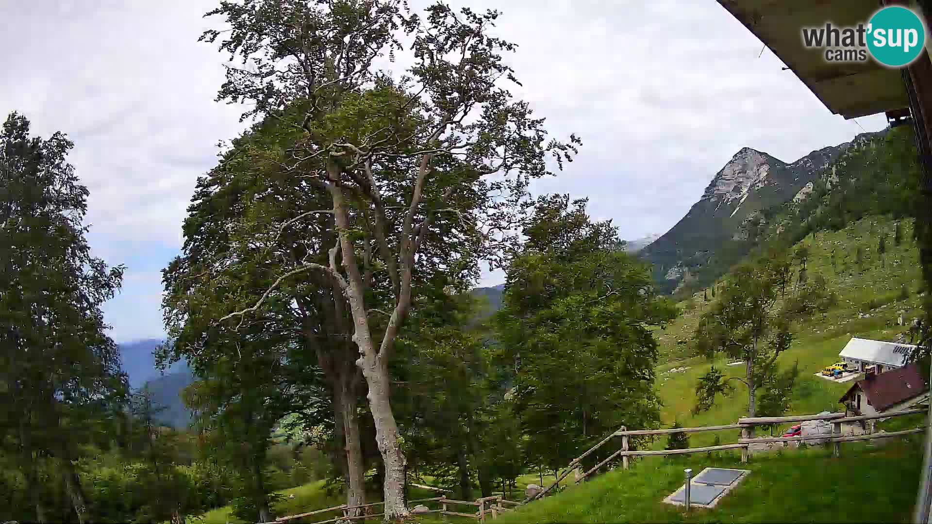 Refuge de la montagne Planina Razor caméra en direct (1315) | vue sur Tolminski Migovec