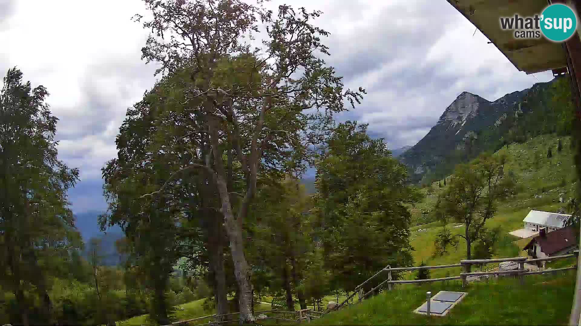 Planina Razor Bergütte Webcam (1315) | Blick auf Tolminski Migovec