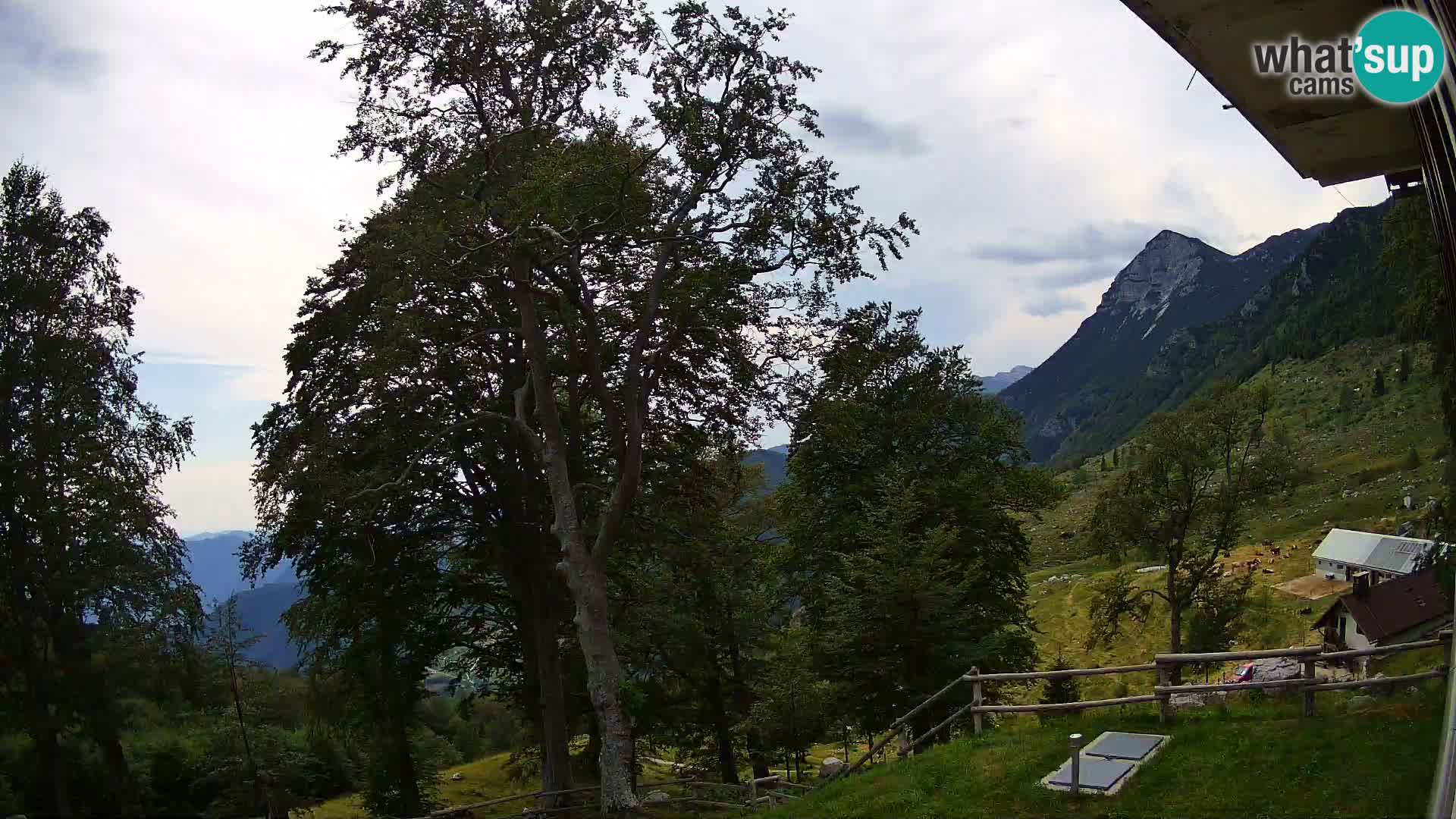 Planina Razor Bergütte Webcam (1315) | Blick auf Tolminski Migovec
