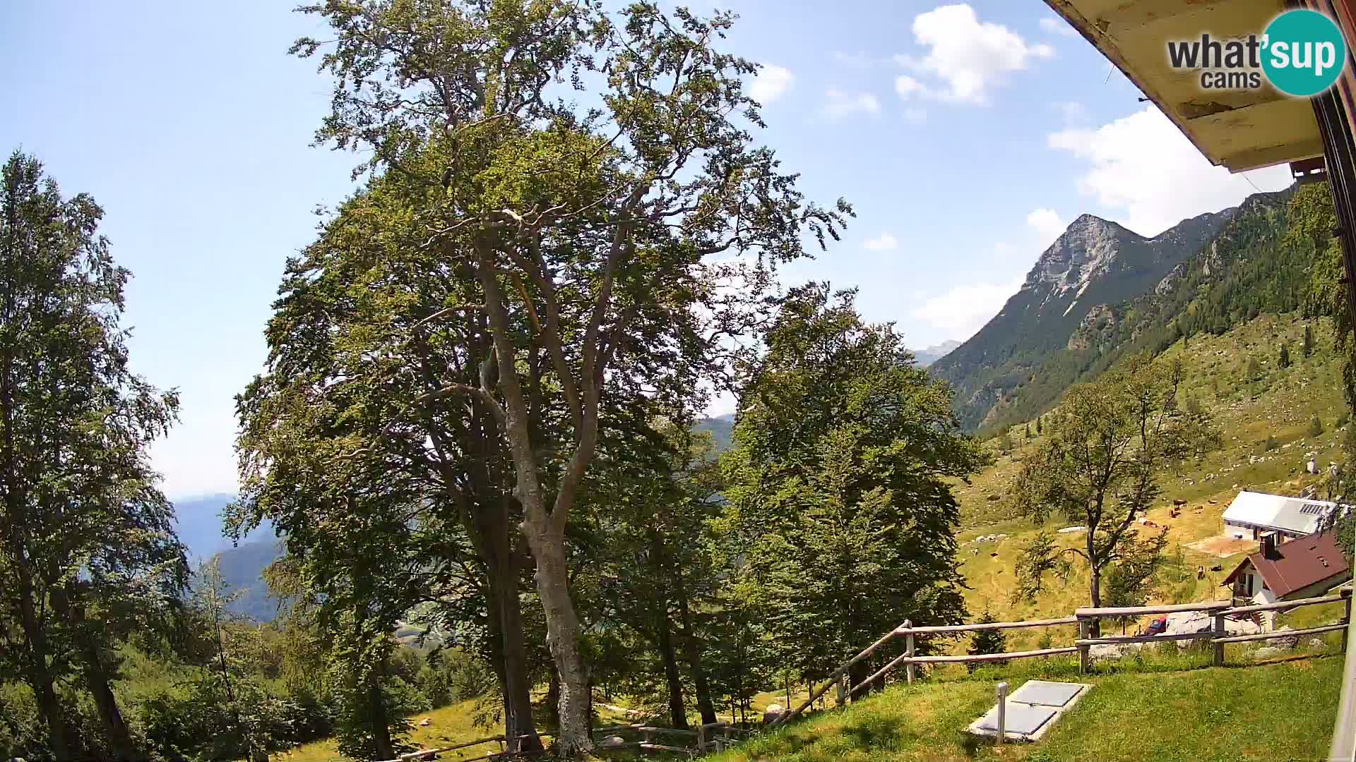 Planina Razor Mountain Hut live cam (1315) | view to Tolminski Migovec