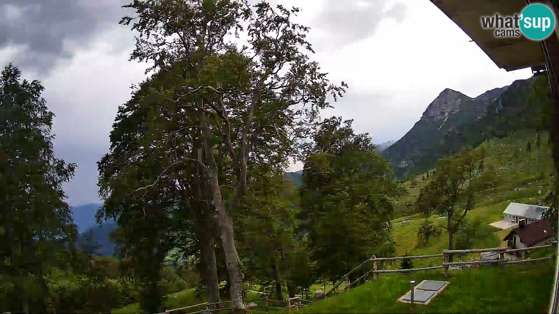Cámara en vivo de la cabaña de montaña Planina Razor (1315) | vista hacia Tolminski Migovec
