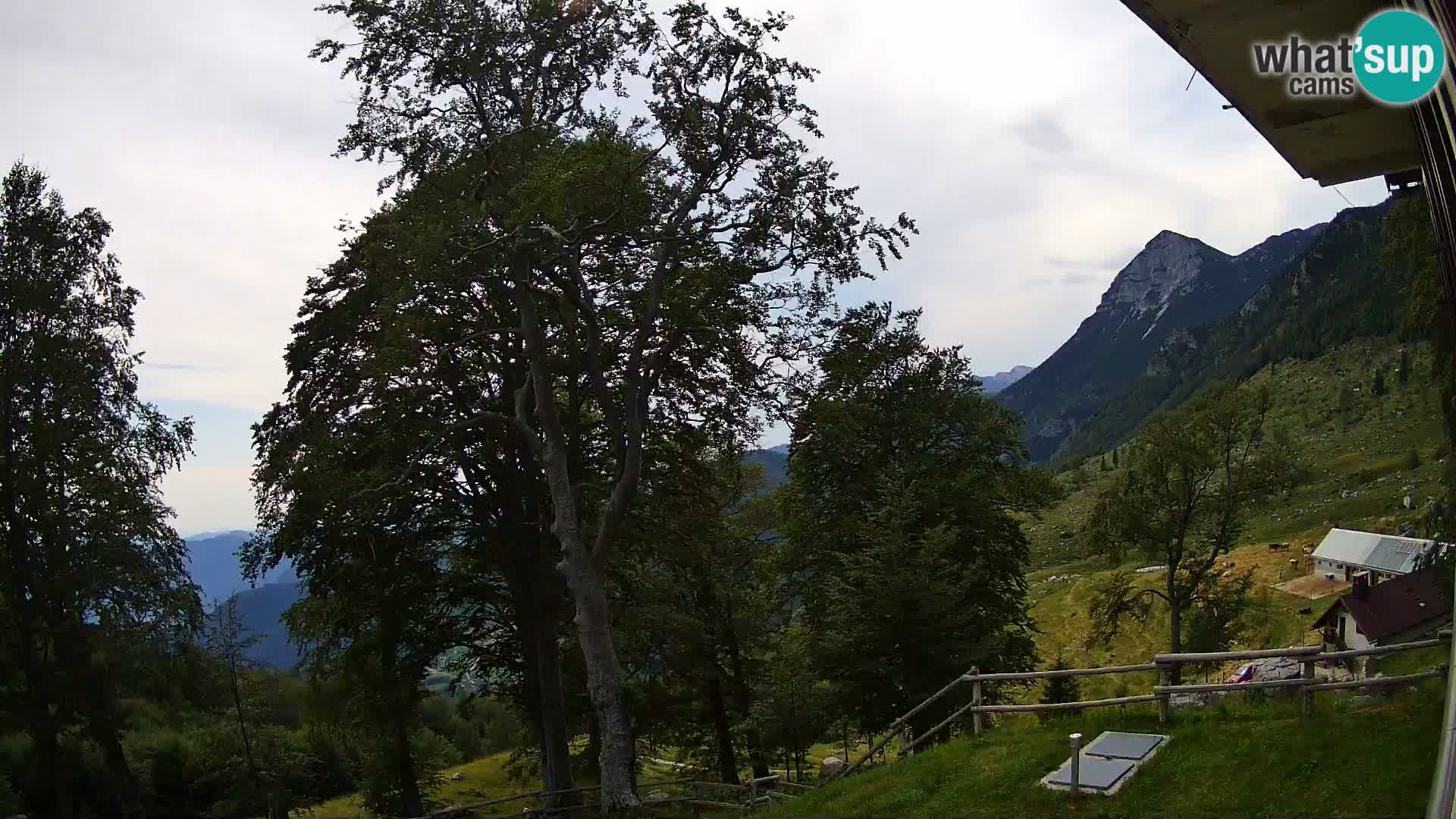 Koča na Planini Razor spletna kamera (1315) | Pogled na Tolminski Migovec