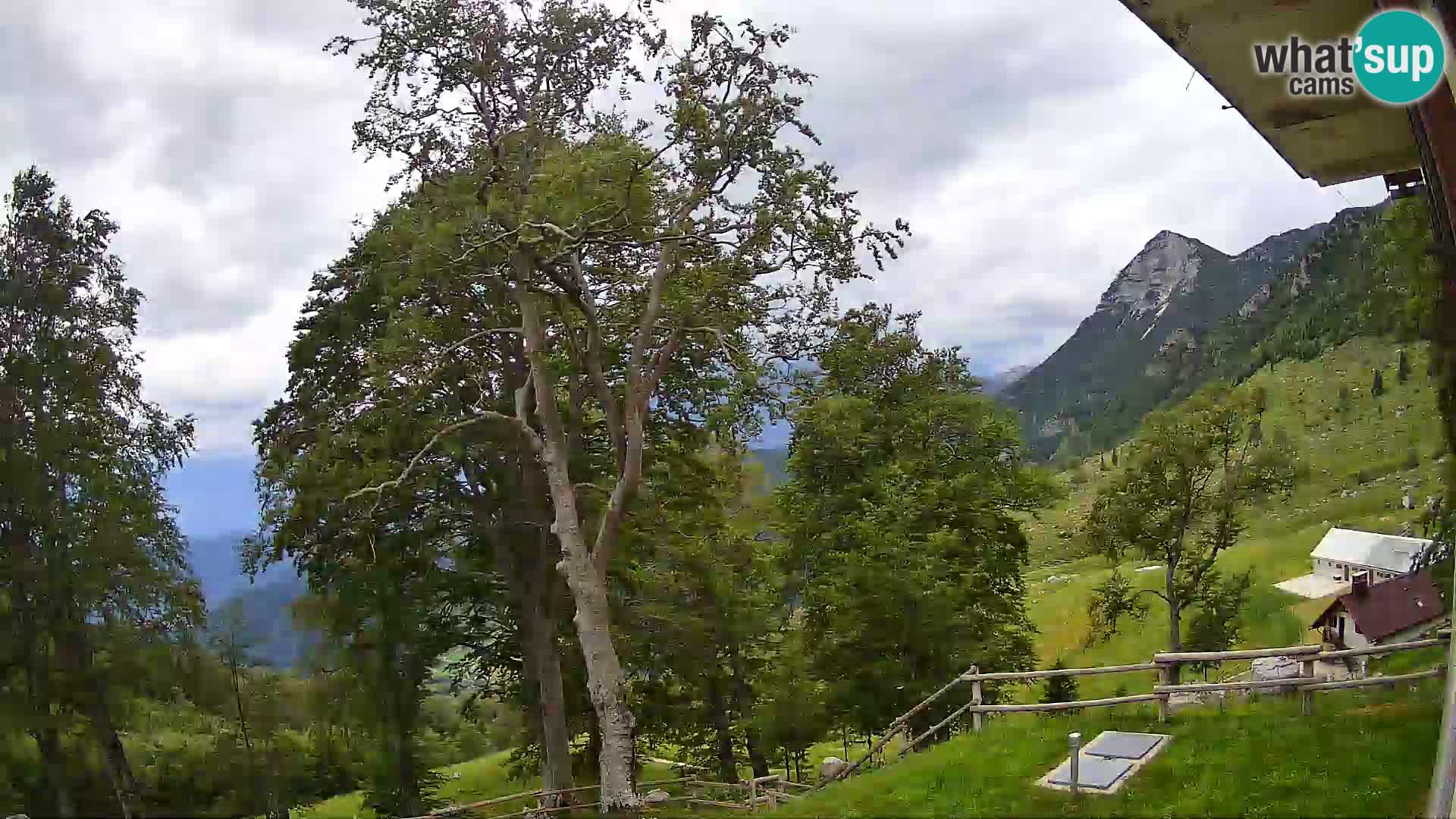 Cámara en vivo de la cabaña de montaña Planina Razor (1315) | vista hacia Tolminski Migovec
