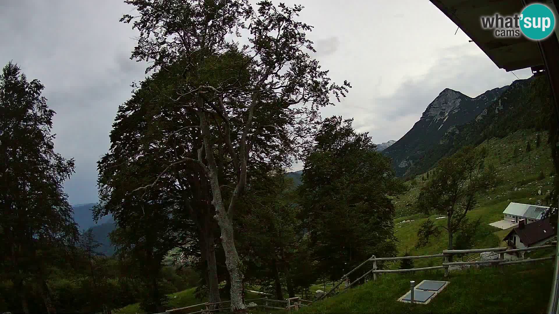 Refuge de la montagne Planina Razor caméra en direct (1315) | vue sur Tolminski Migovec
