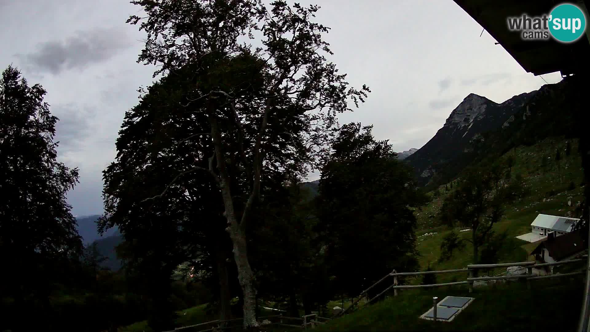 Cámara en vivo de la cabaña de montaña Planina Razor (1315) | vista hacia Tolminski Migovec