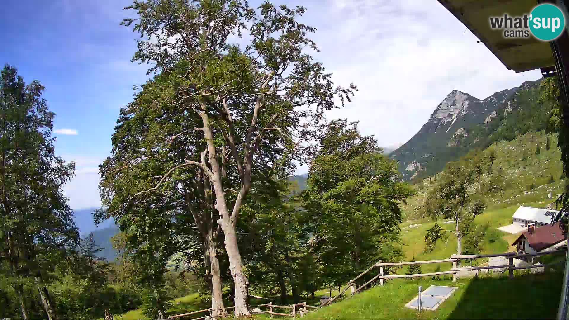 Baita di montagna Planina Razor webcam (1315) | vista su Tolminski Migovec