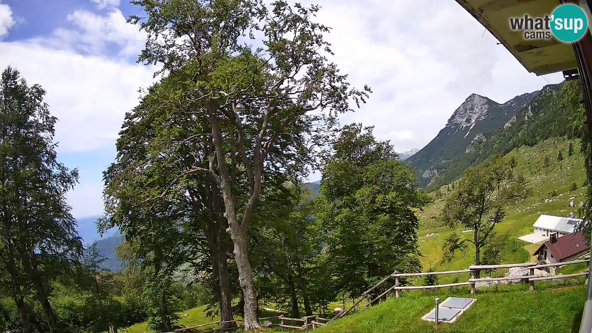 Cámara en vivo de la cabaña de montaña Planina Razor (1315) | vista hacia Tolminski Migovec