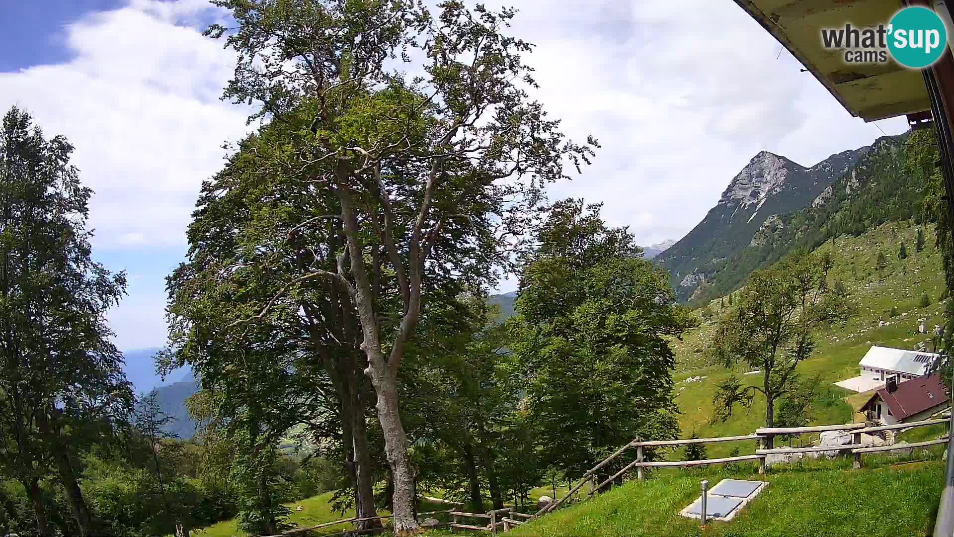 Refuge de la montagne Planina Razor caméra en direct (1315) | vue sur Tolminski Migovec