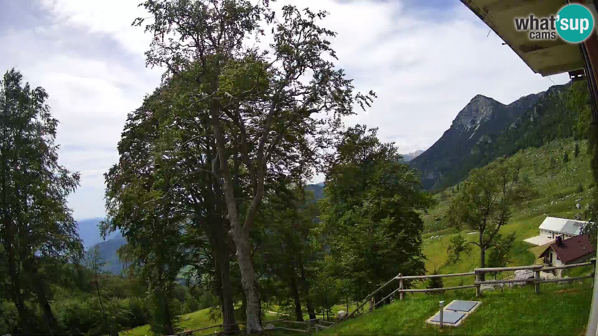 Baita di montagna Planina Razor webcam (1315) | vista su Tolminski Migovec