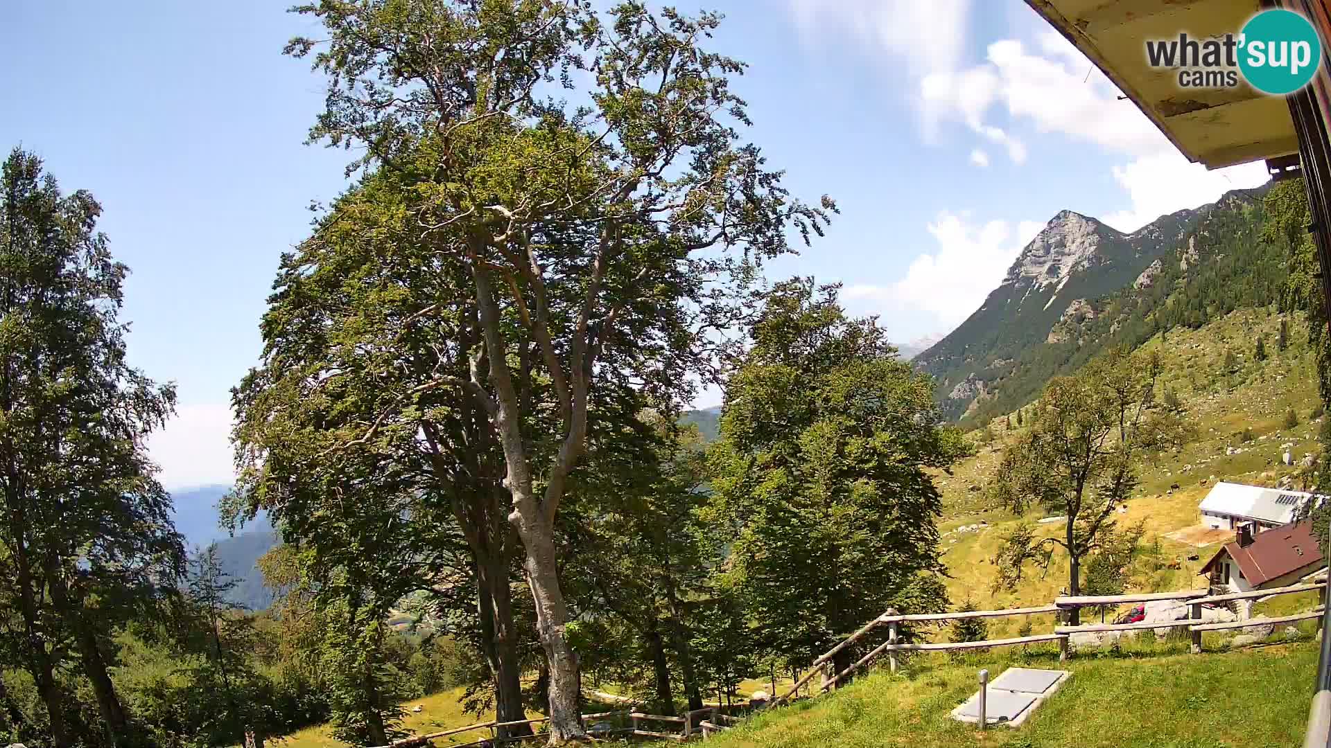 Planina Razor Mountain Hut live cam (1315) | view to Tolminski Migovec