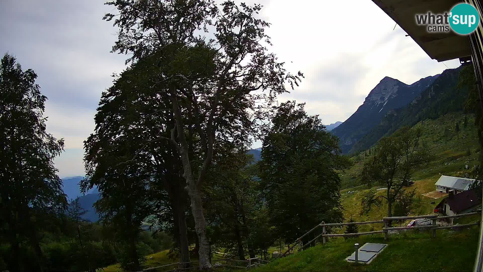 Baita di montagna Planina Razor webcam (1315) | vista su Tolminski Migovec