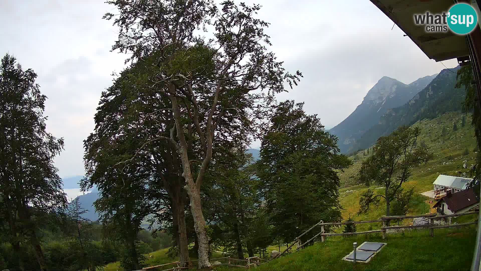 Koča na Planini Razor spletna kamera (1315) | Pogled na Tolminski Migovec