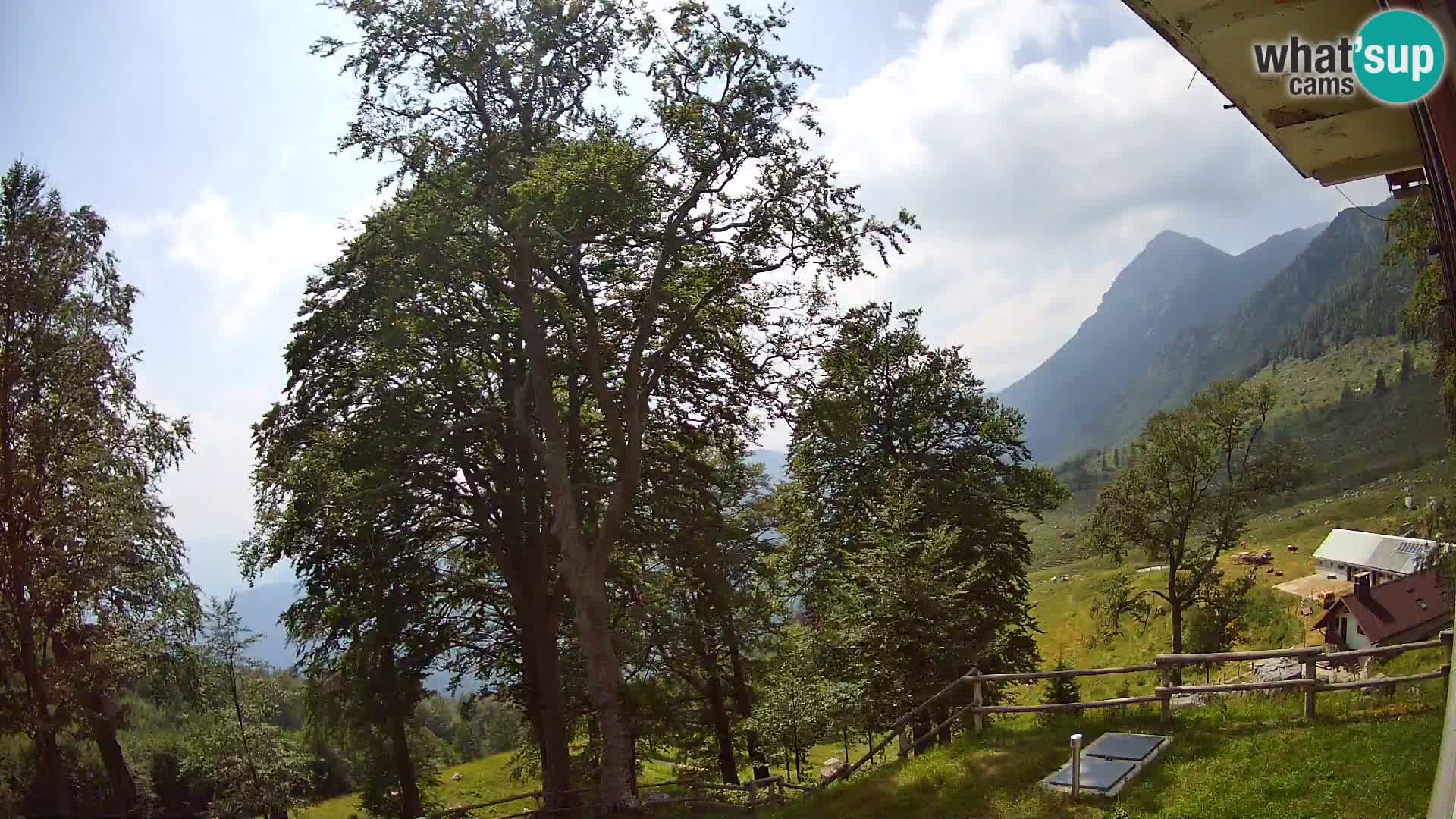 Planina Razor Bergütte Webcam (1315) | Blick auf Tolminski Migovec