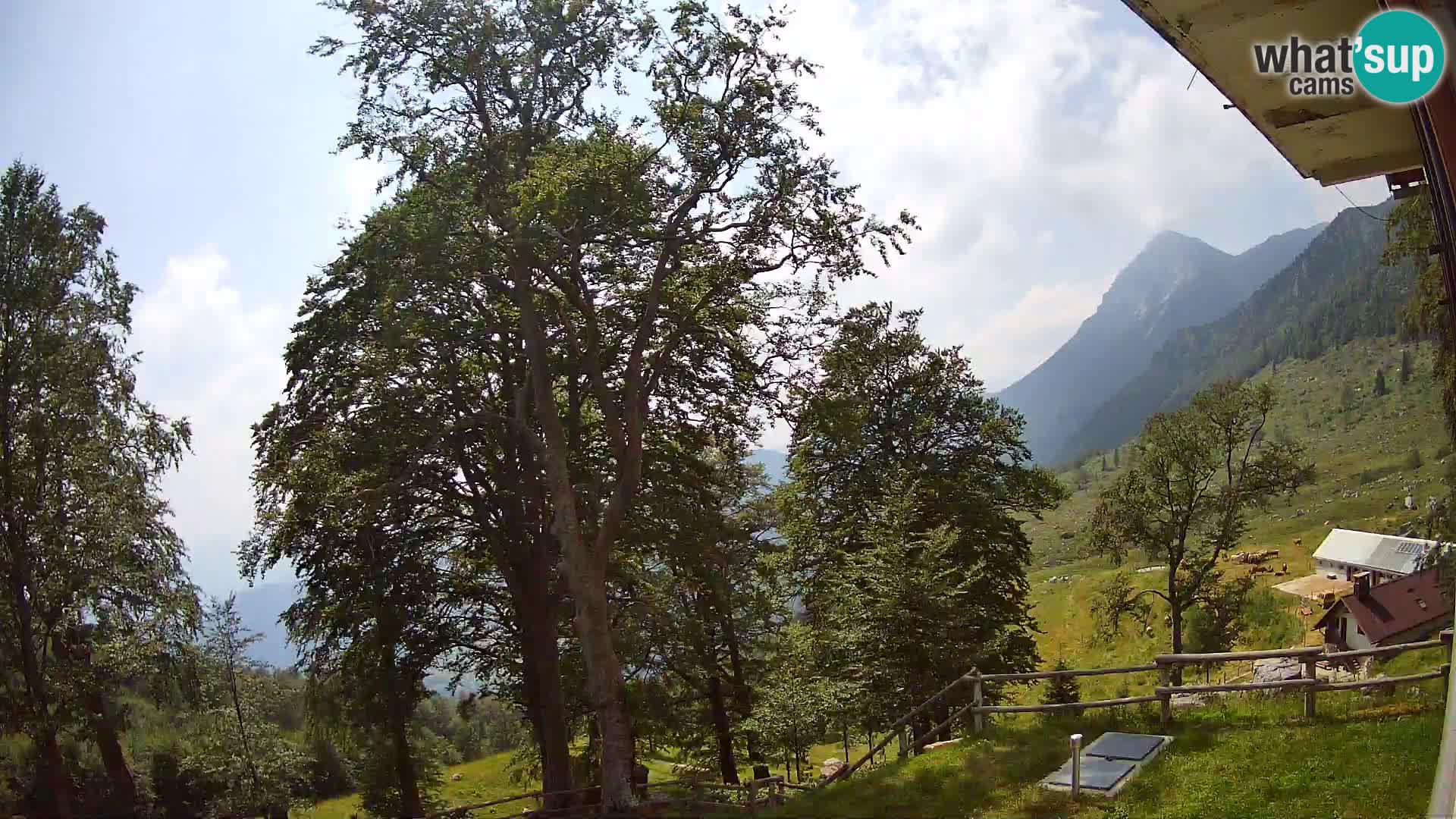 Planina Razor Mountain Hut live cam (1315) | view to Tolminski Migovec
