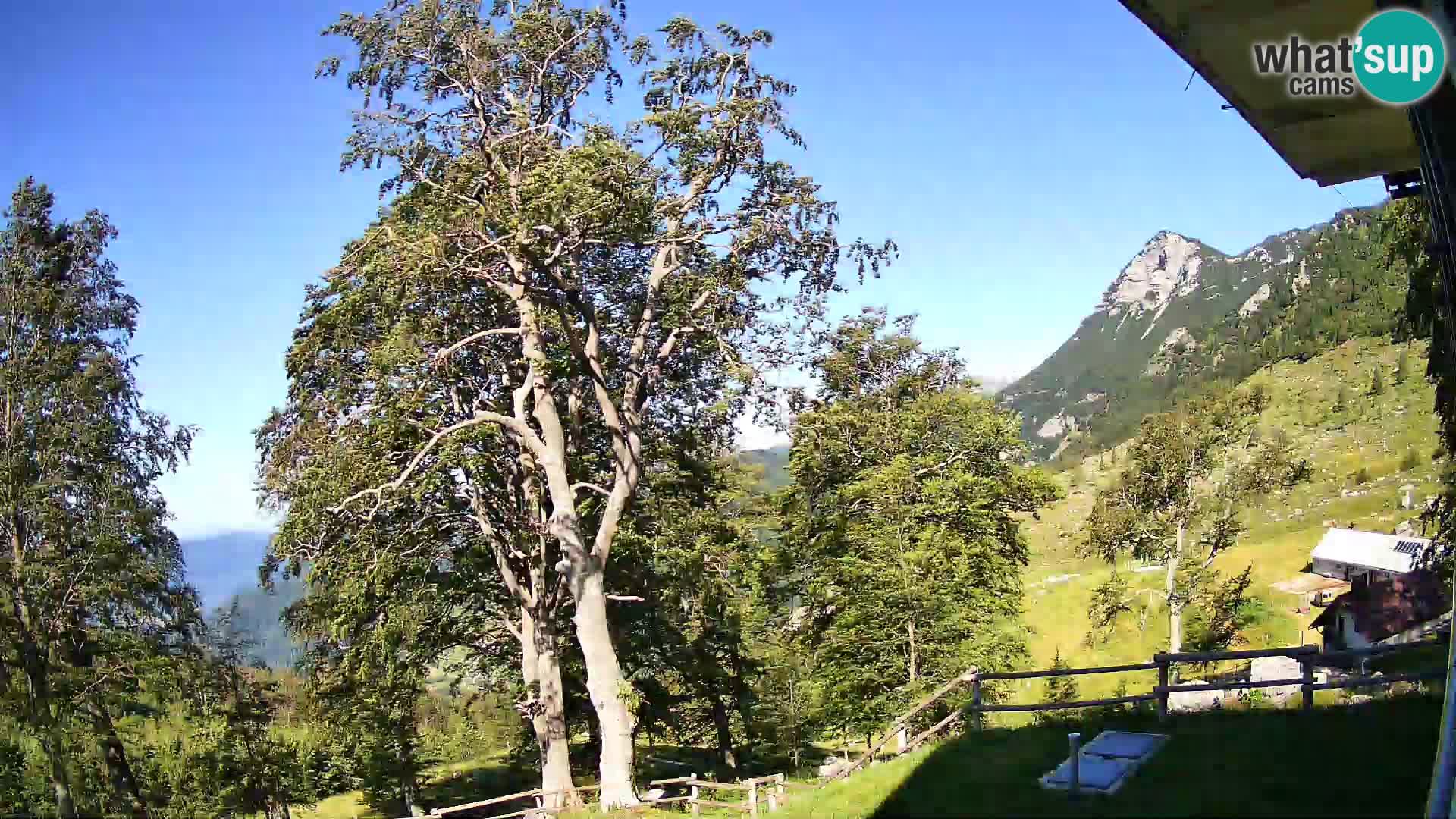 Baita di montagna Planina Razor webcam (1315) | vista su Tolminski Migovec