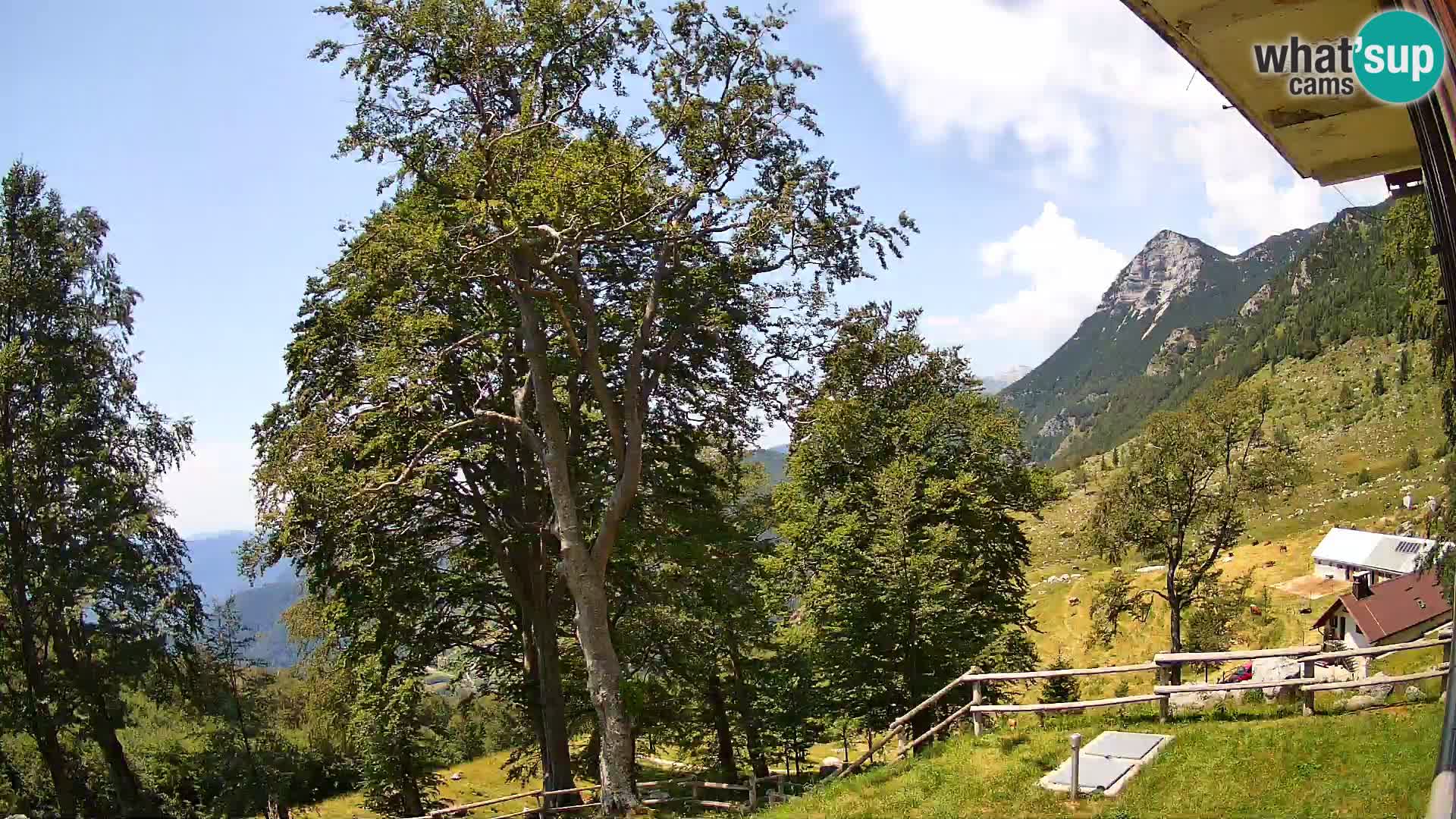Planina Razor Mountain Hut live cam (1315) | view to Tolminski Migovec