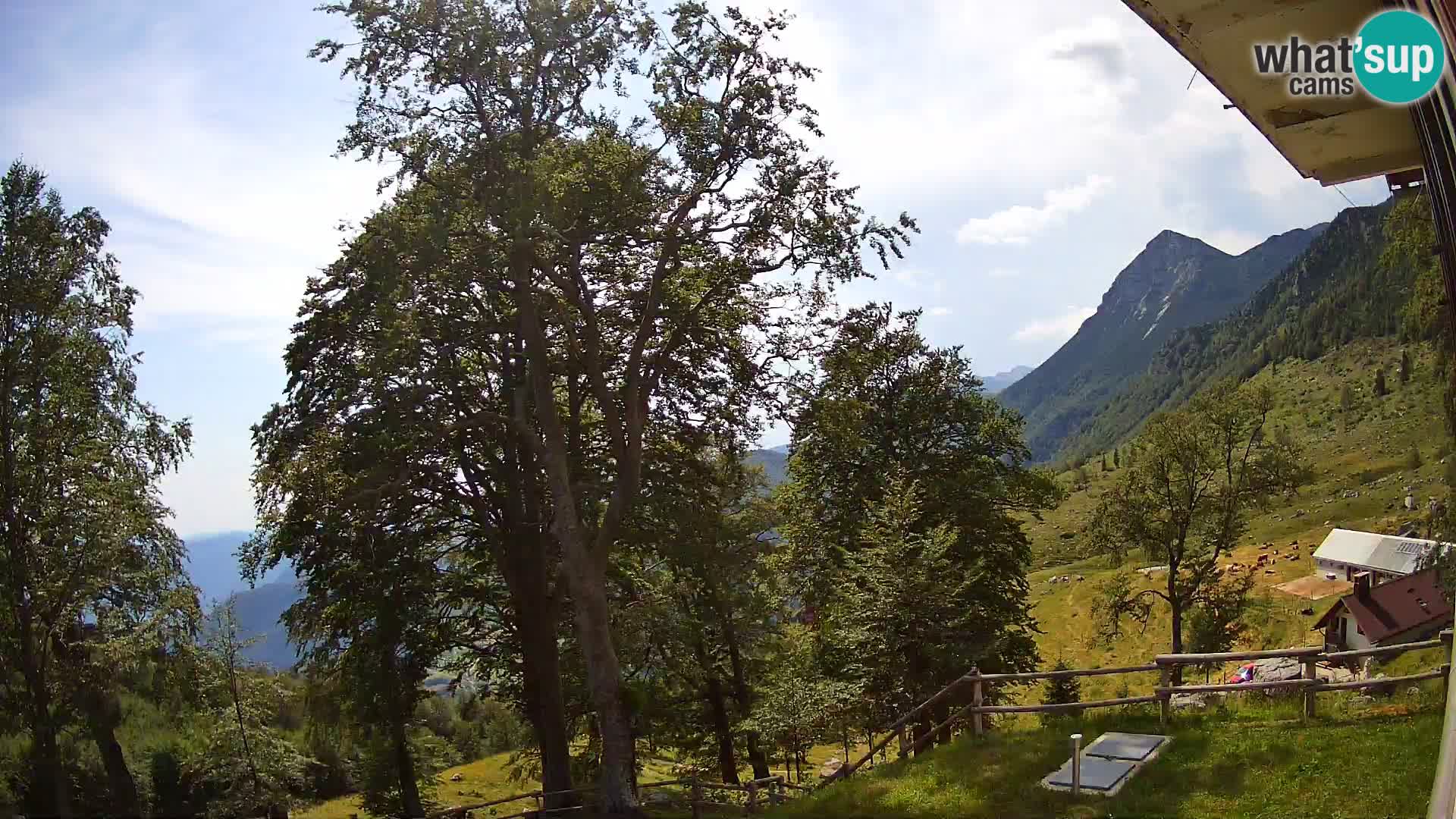 Planina Razor Bergütte Webcam (1315) | Blick auf Tolminski Migovec