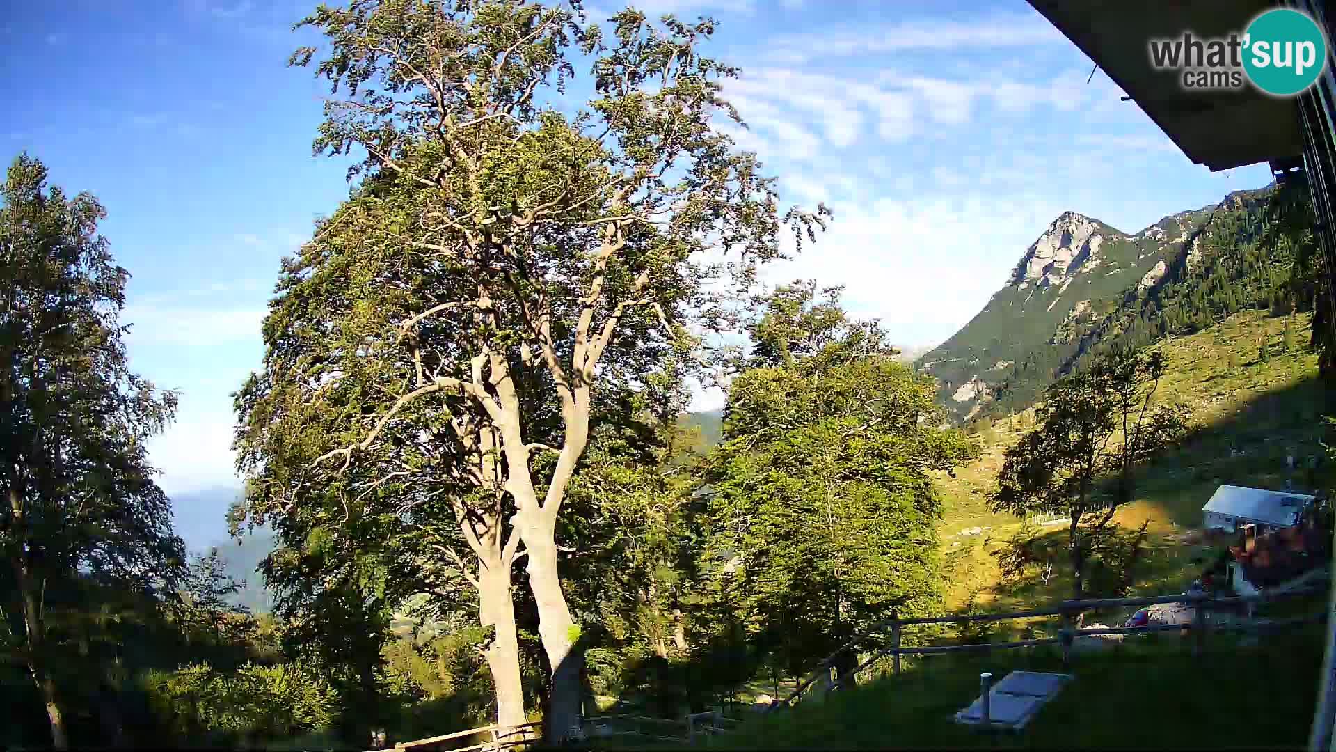 Planina Razor Mountain Hut live cam (1315) | view to Tolminski Migovec