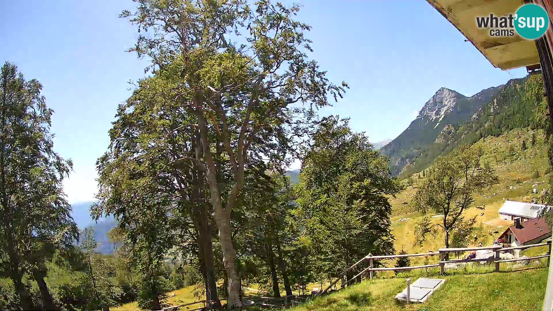 Planina Razor Bergütte Webcam (1315) | Blick auf Tolminski Migovec
