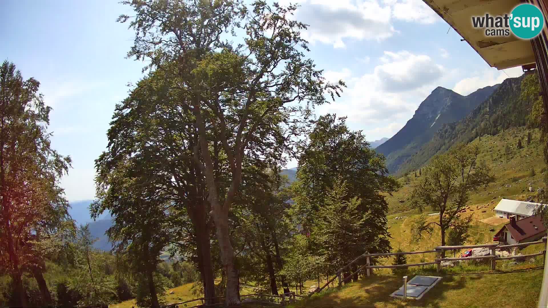 Planina Razor Mountain Hut live cam (1315) | view to Tolminski Migovec
