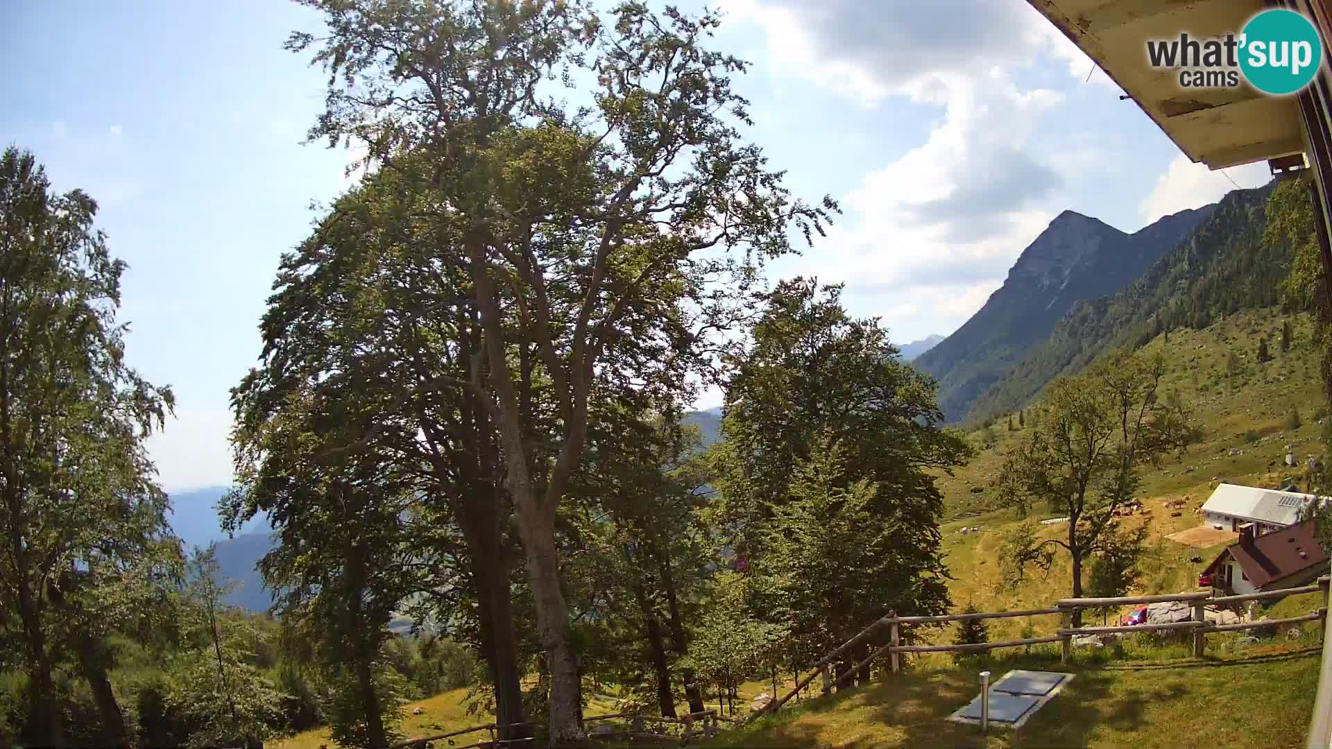 Baita di montagna Planina Razor webcam (1315) | vista su Tolminski Migovec