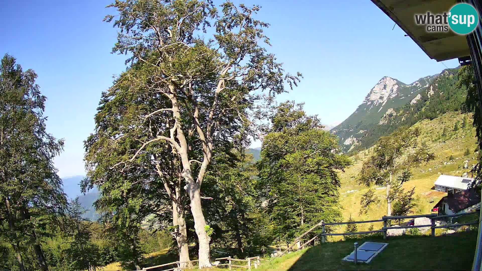 Planina Razor Bergütte Webcam (1315) | Blick auf Tolminski Migovec