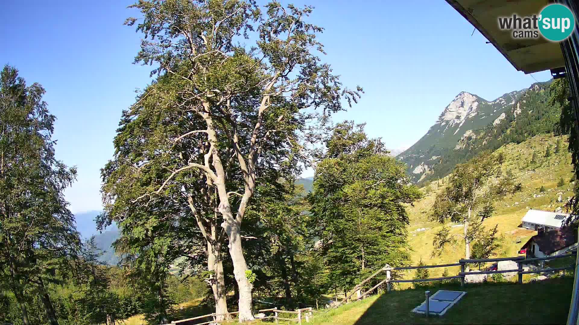 Cámara en vivo de la cabaña de montaña Planina Razor (1315) | vista hacia Tolminski Migovec
