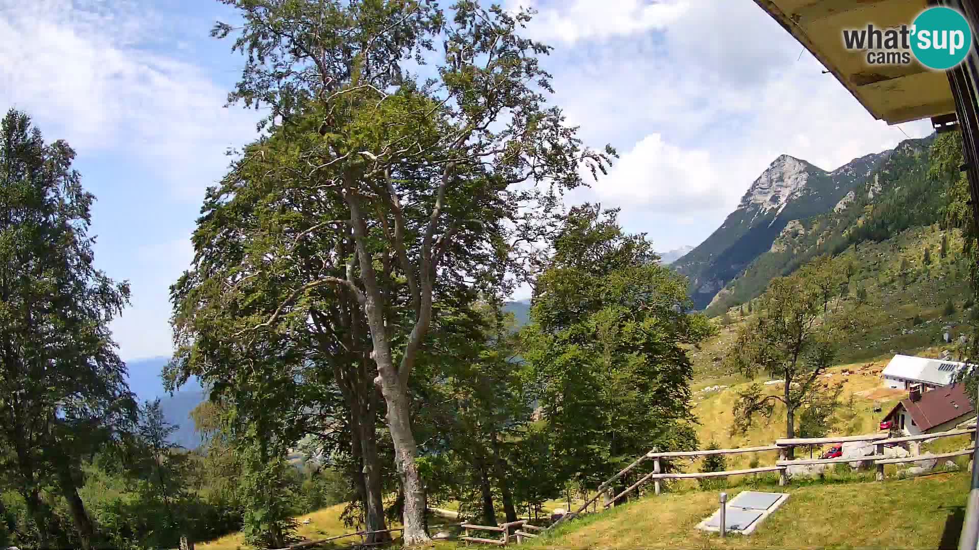 Planina Razor Mountain Hut live cam (1315) | view to Tolminski Migovec