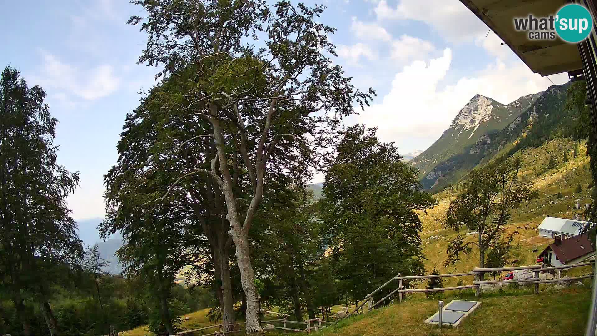 Planina Razor Bergütte Webcam (1315) | Blick auf Tolminski Migovec
