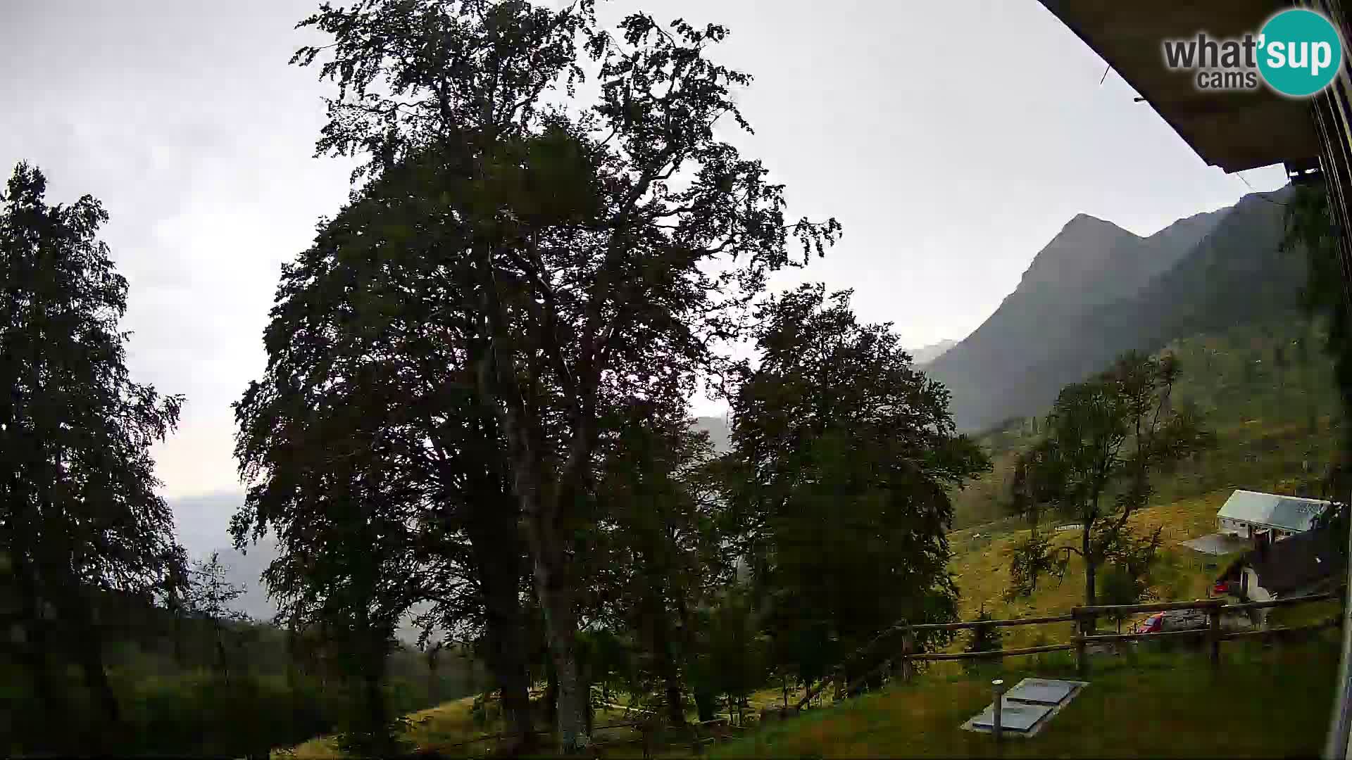 Planina Razor Bergütte Webcam (1315) | Blick auf Tolminski Migovec