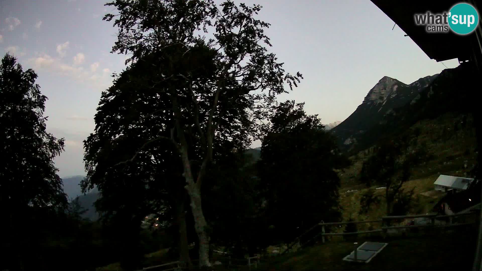Planina Razor Bergütte Webcam (1315) | Blick auf Tolminski Migovec