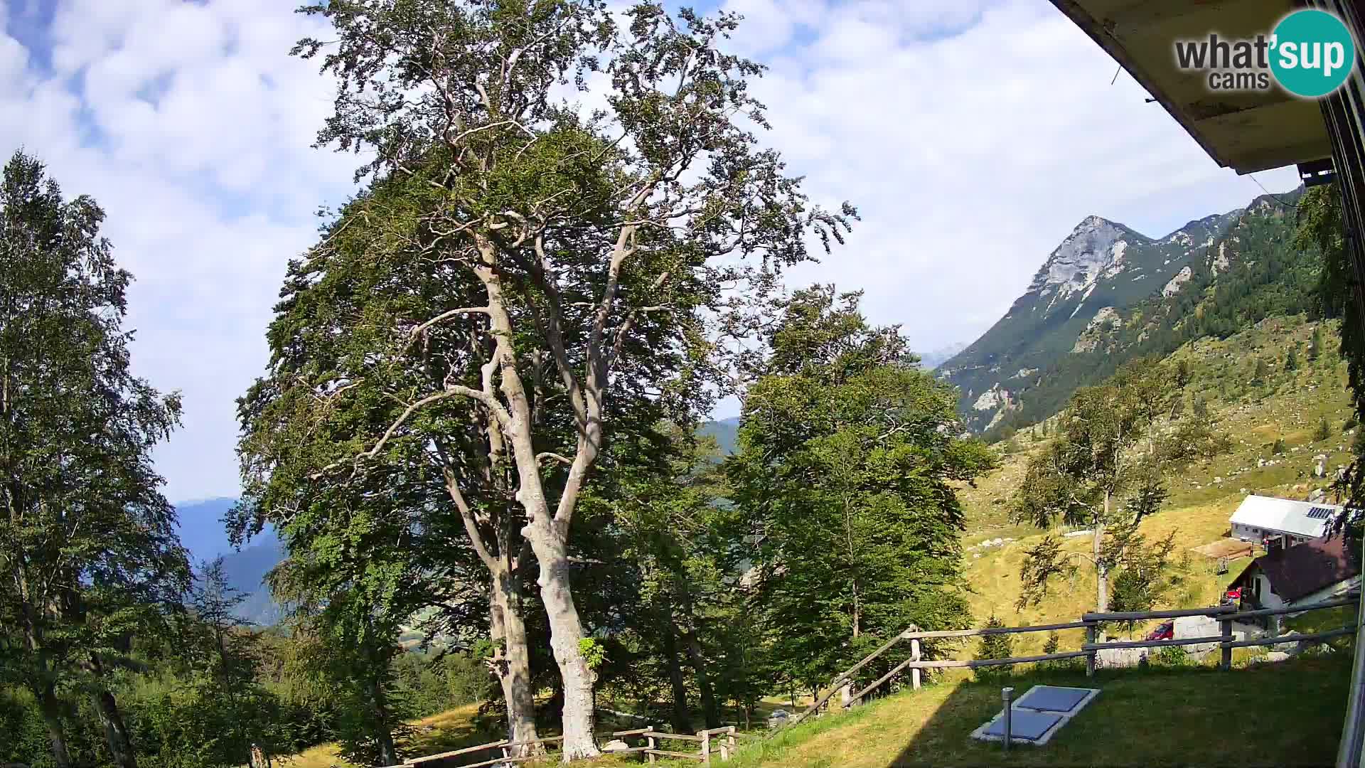 Baita di montagna Planina Razor webcam (1315) | vista su Tolminski Migovec